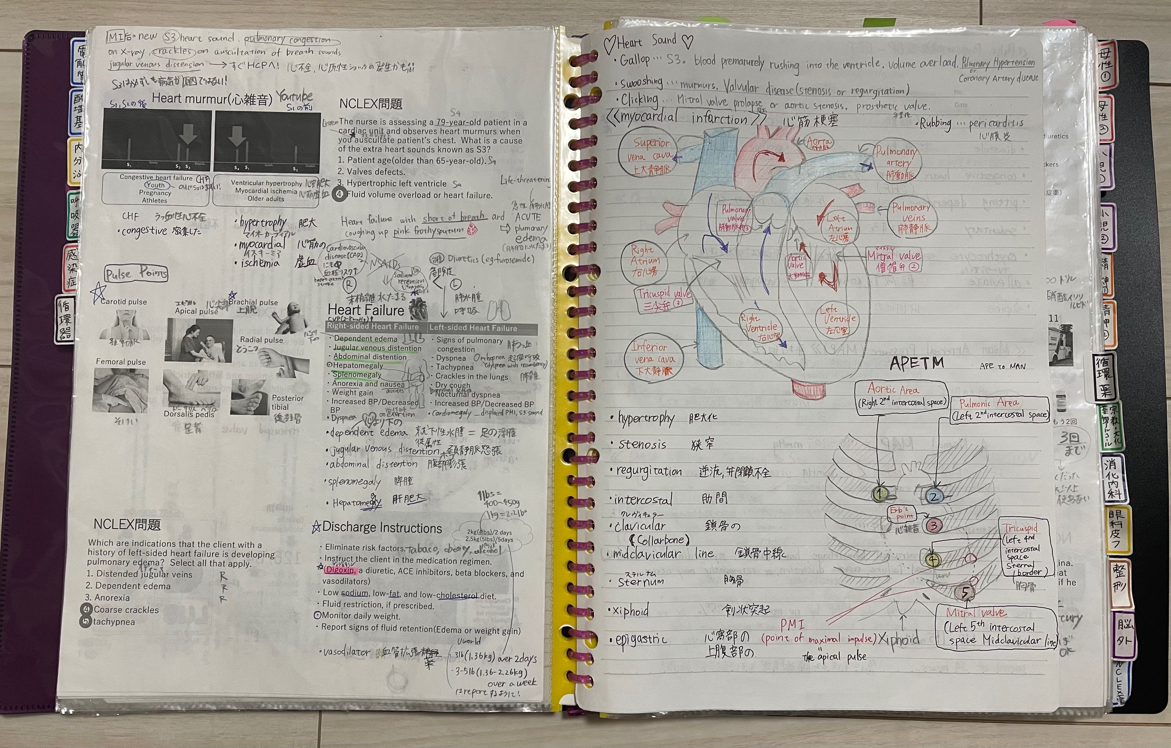 短期集中型NCLEX勉強法｜みさと丸