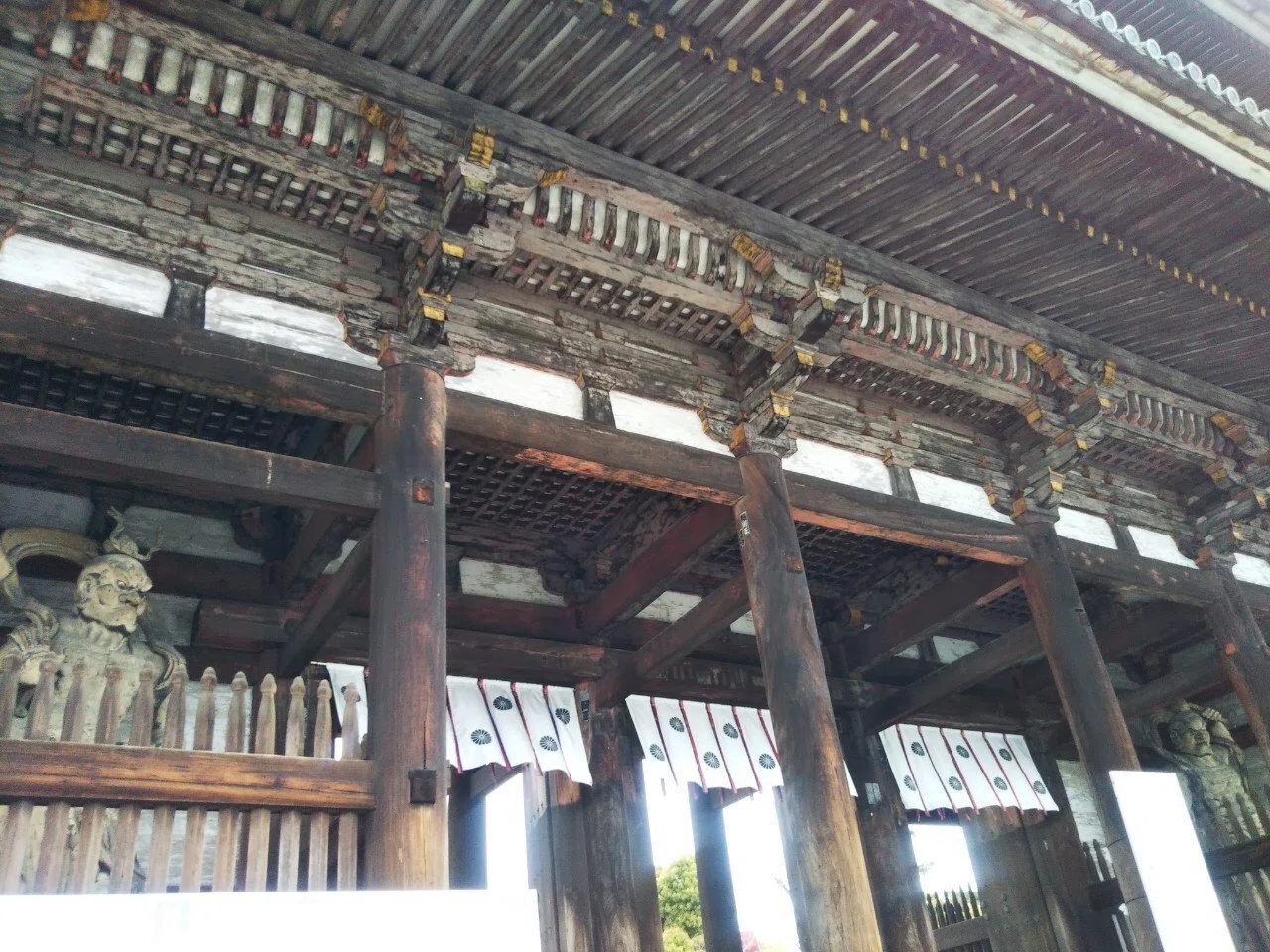 御室桜🌸「仁和寺」🌸三十三間堂×御所!御室10回言うとオムロン!?【きぬ