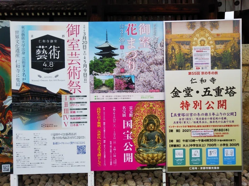御室桜?「仁和寺」?三十三間堂×御所!御室10回言うとオムロン!?【きぬ 