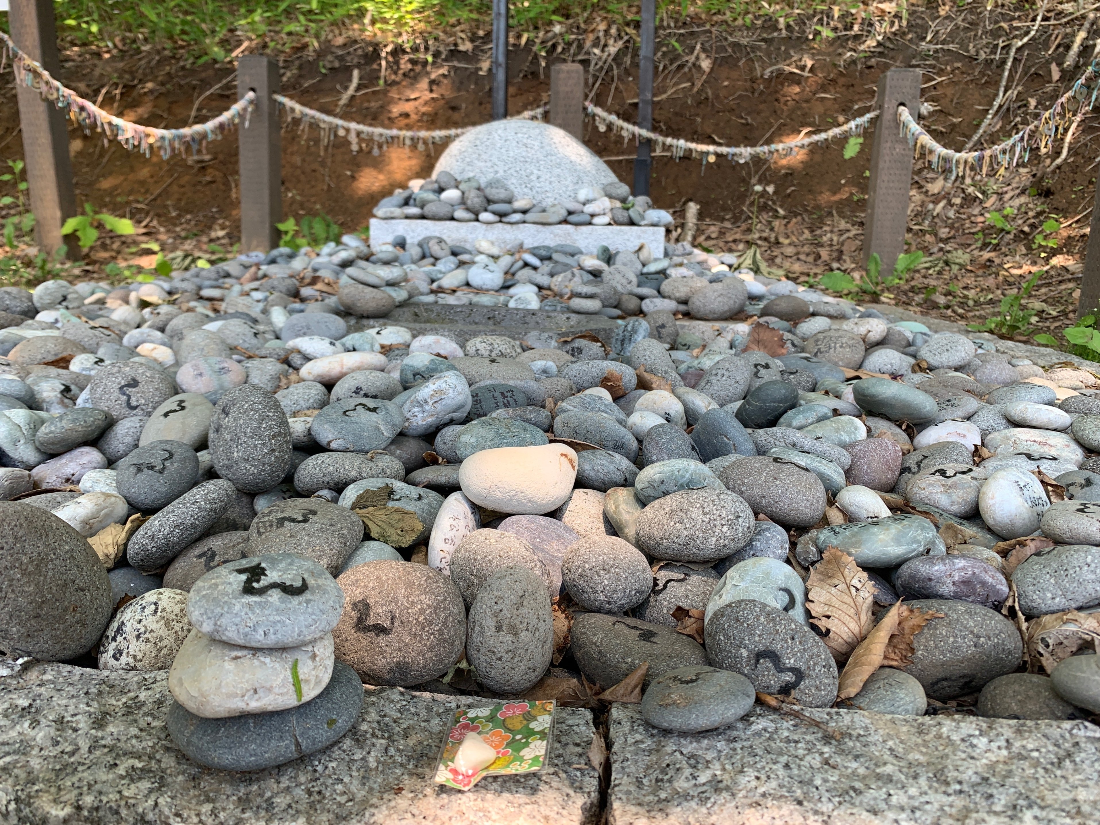 洞爺のパワースポット〜虻田神社の「龍の道」｜みやのゆきこ