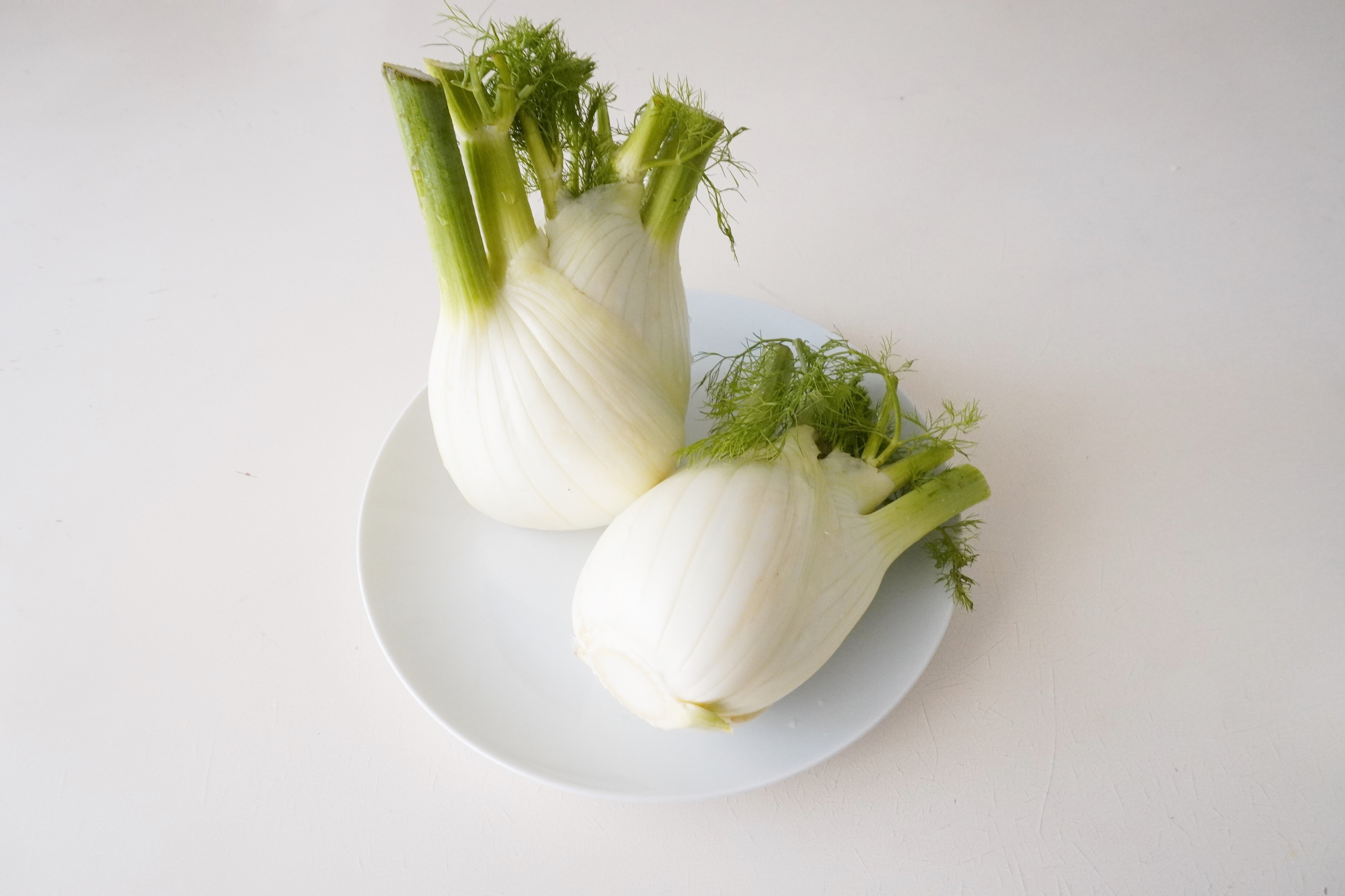 フェンネル 春になると食べたくなる野菜のひとつです 食の工房オフィスアルベロ イタリア料理教室 In 神戸 Note フェンネル 春になると食べたくなる野菜のひとつです 食の工房オフィスアルベロ イタリア料理教室 In 神戸 Note