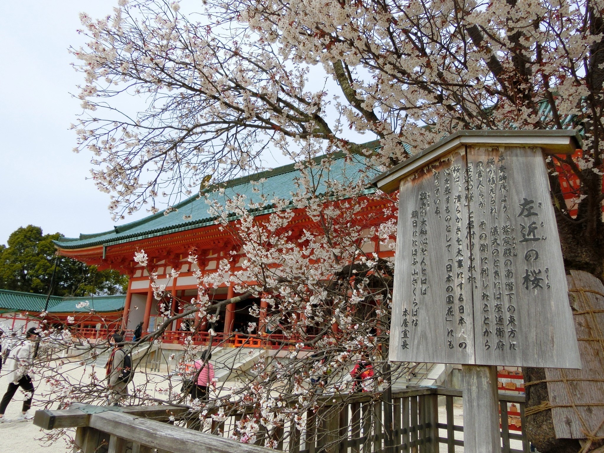 🌸桜🌸2014年と2022年比較「平安神宮」桓武天皇と孝明天皇【京都 🌸桜🌸2014年と2022年比較「平安神宮」桓武天皇と孝明天皇【京都