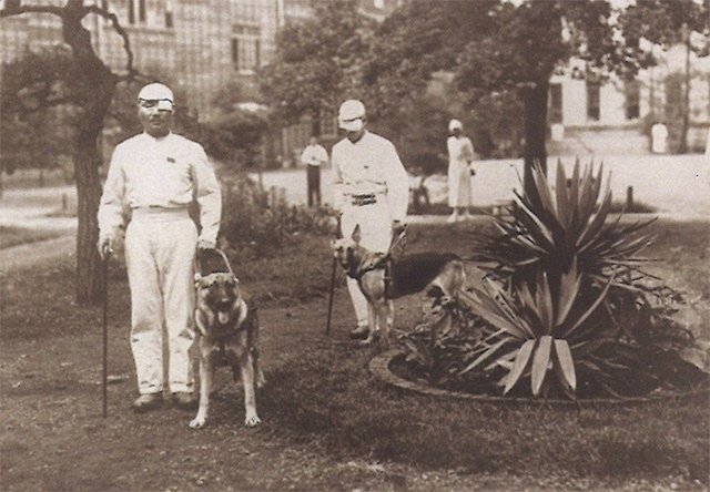 日本最初の盲導犬の写真