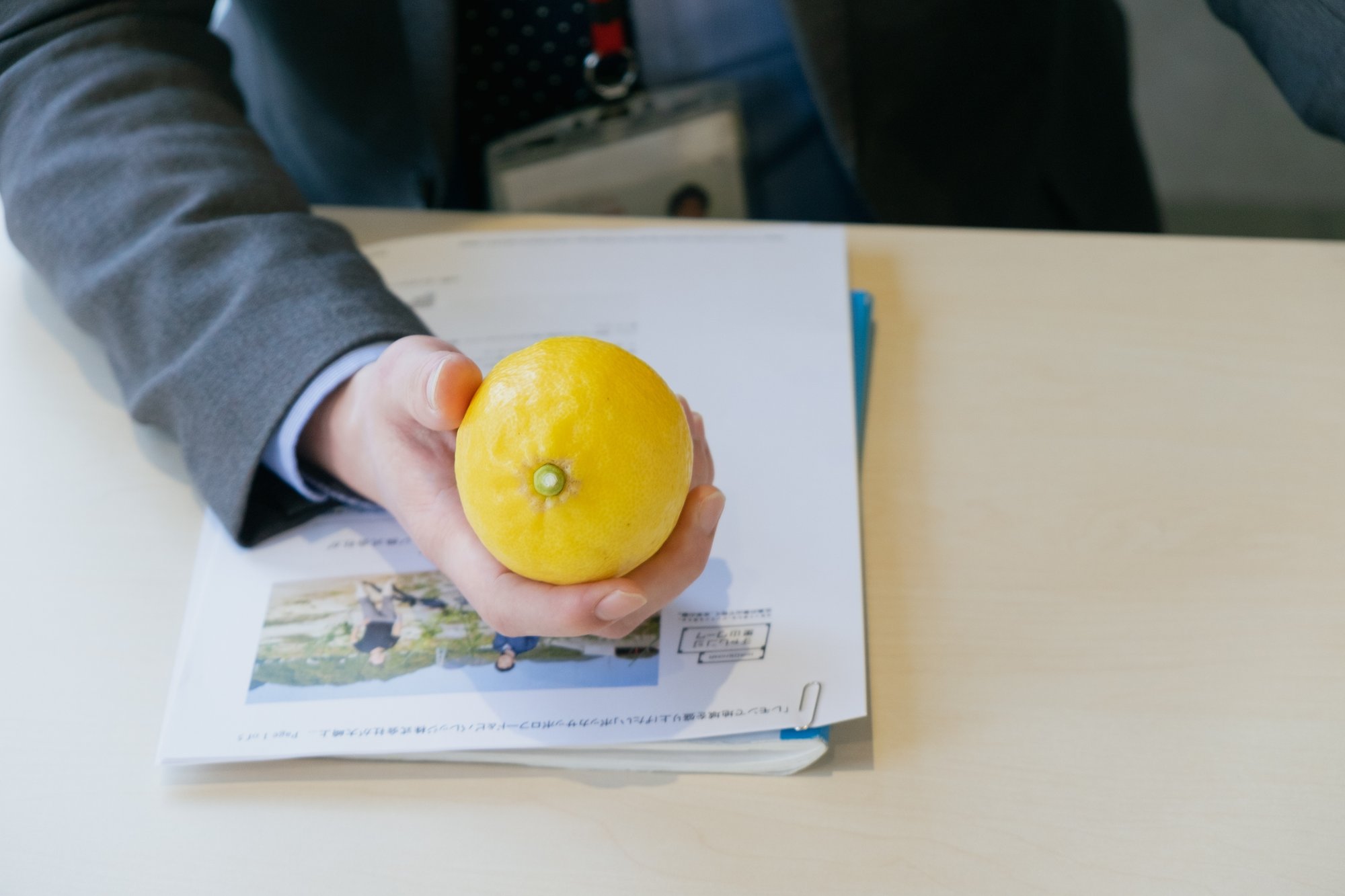 レモンという素材と真摯に向き合いたい 自社レモン農園ができるまで 前編 ポッカサッポロ レモンという素材と真摯に向き合いたい 自社レモン農園ができるまで 前編 ポッカサッポロ