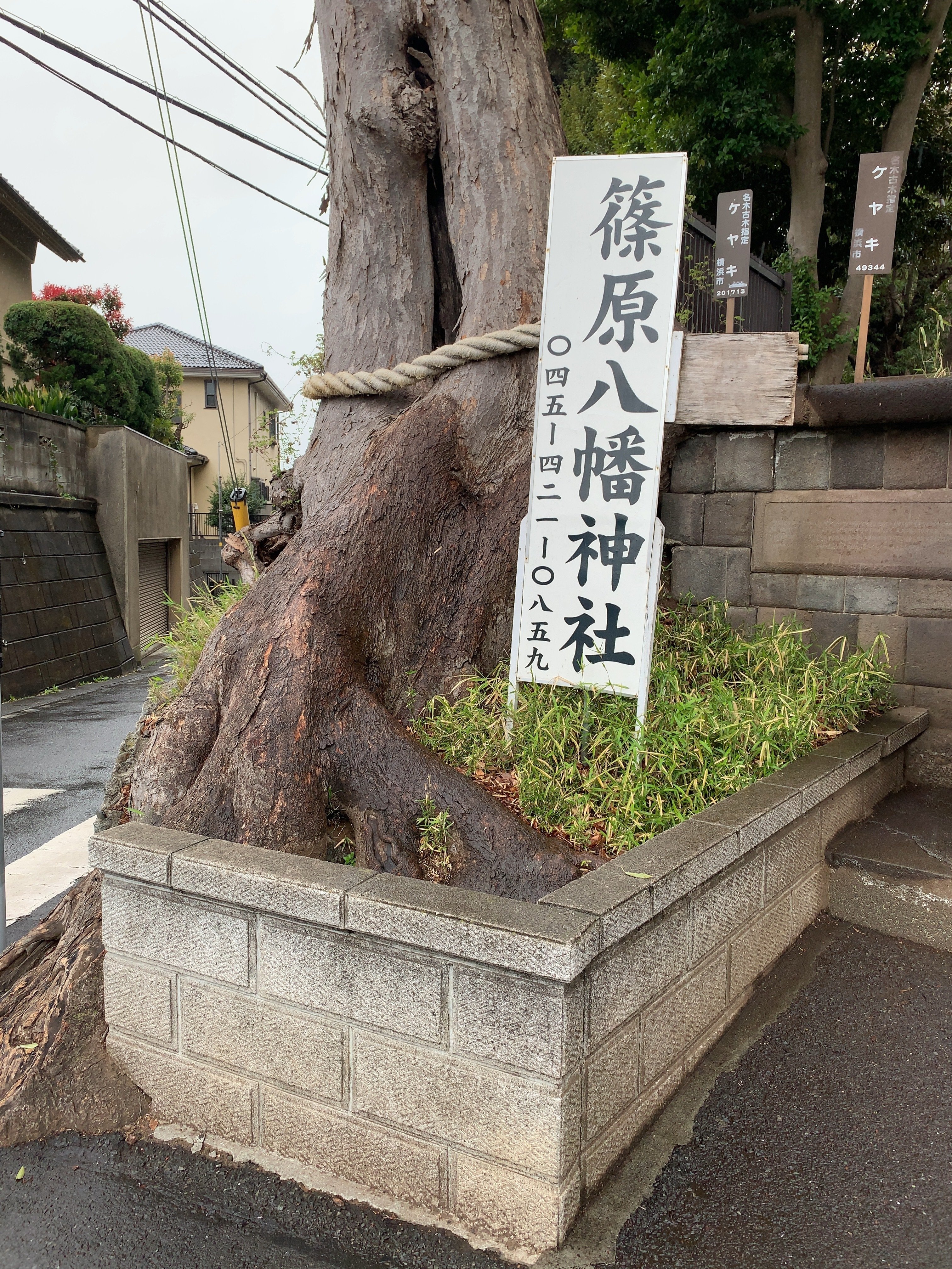 22 04 03 篠原八幡神社 神奈川県横浜市港北区篠原町 ーきーのーよー Note
