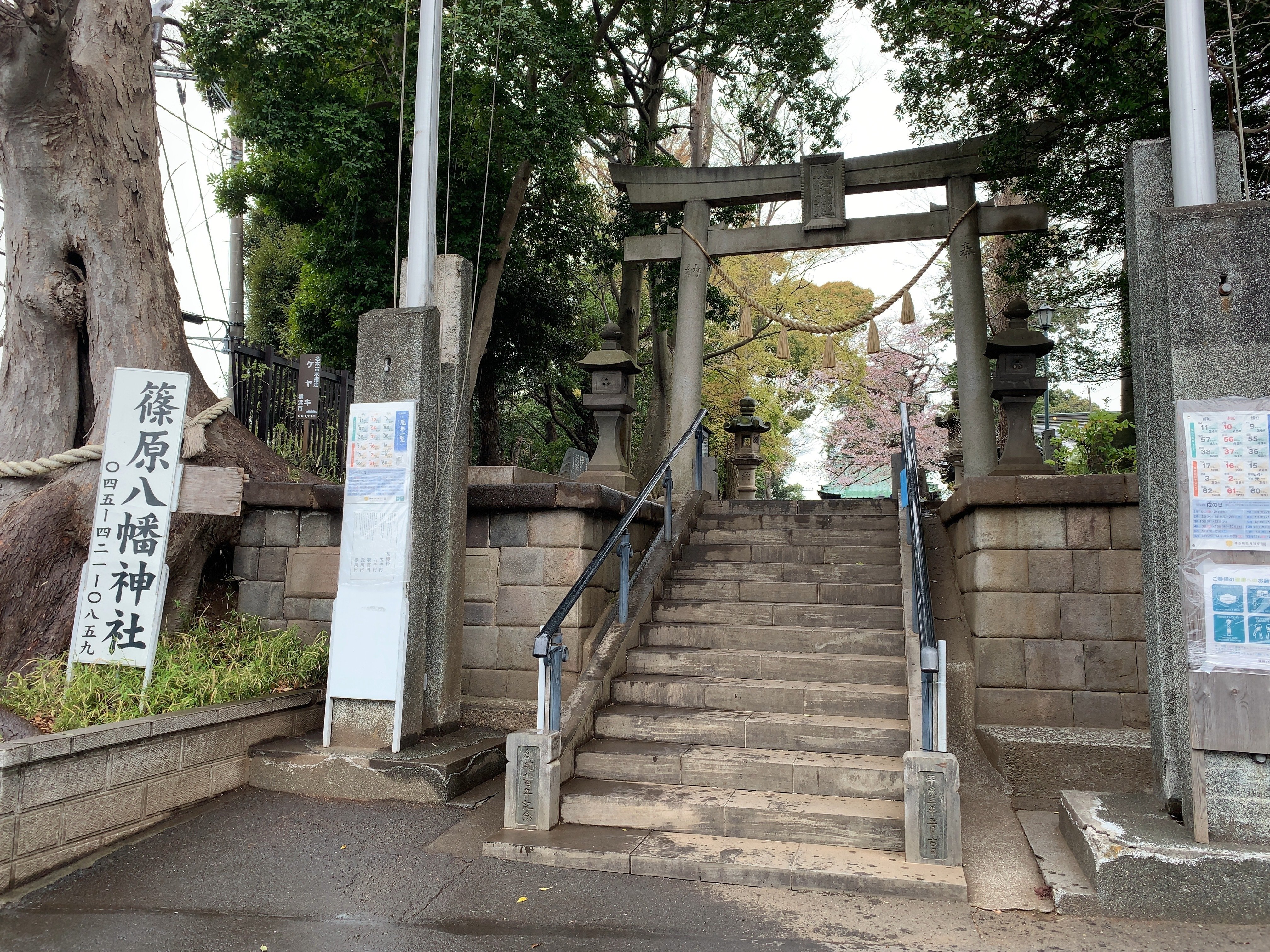 22 04 03 篠原八幡神社 神奈川県横浜市港北区篠原町 ーきーのーよー Note