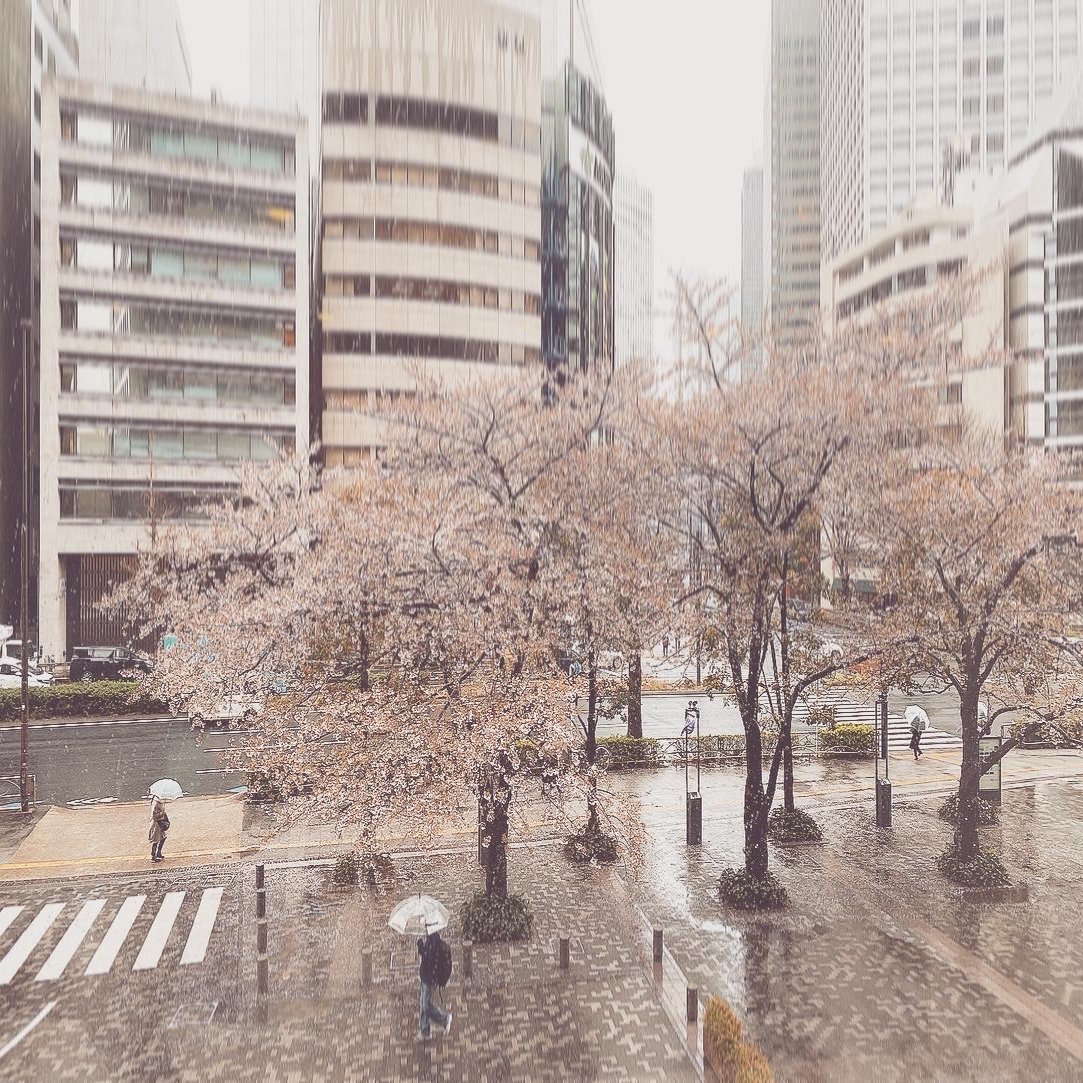 晴れの神戸 雨の東京 桜はほとんど魔法 タケチヒロミ Roulottes Note