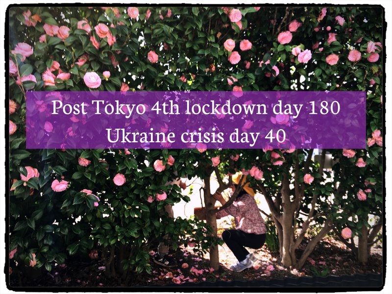 Post Tokyo 4th lockdown day 180 Ukraine crisis day 40
