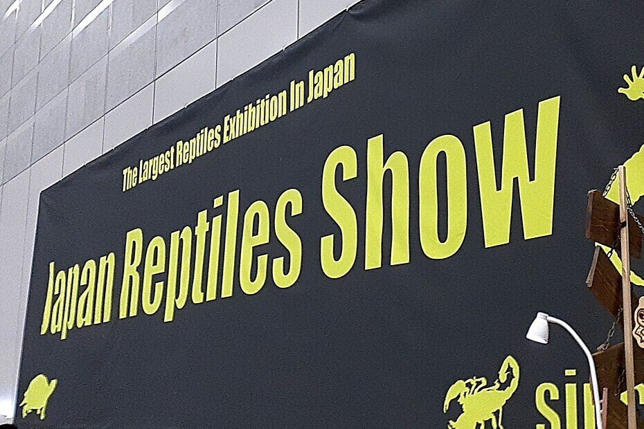 浜レプ 初心者も楽しい 爬虫類イベント行ってみた Vanille Note