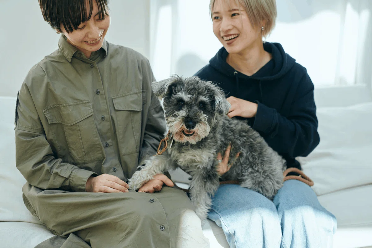 画像