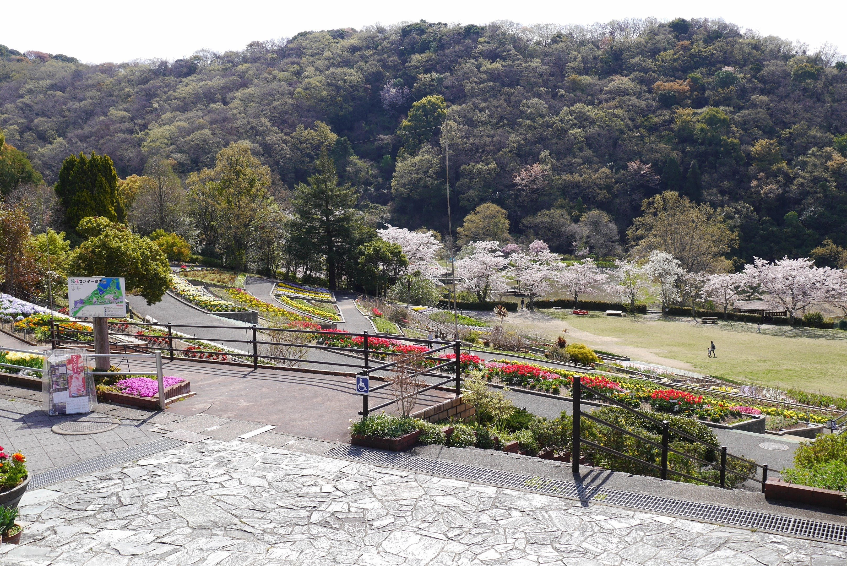 和歌山県立緑化センター その１ 中岡 はじめ Note