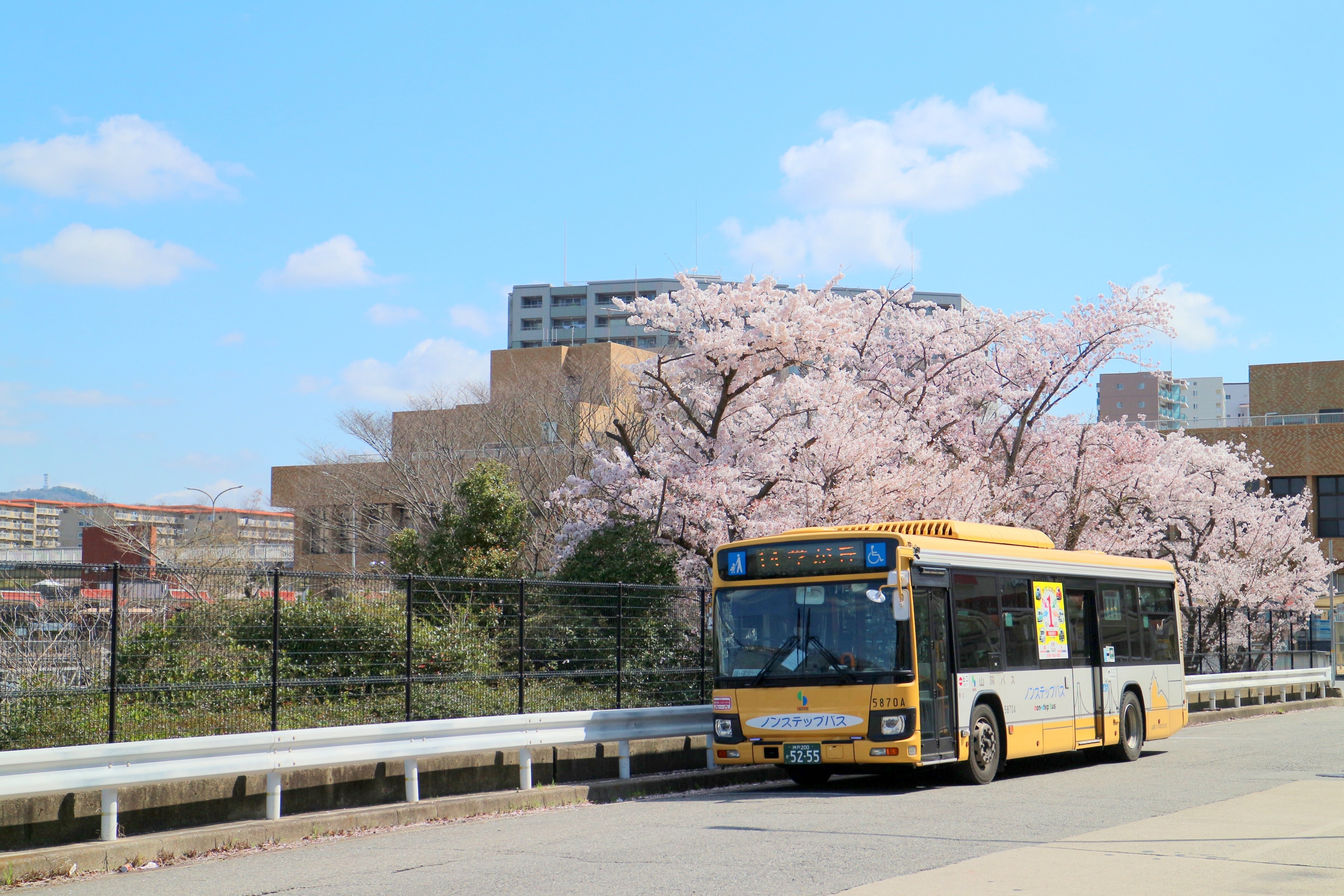 山陽バス】名谷駅バスターミナルの桜2022｜垂水の止利