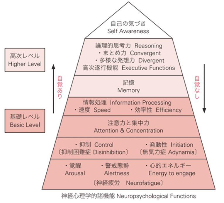 神経心理額的諸機能・神経心理ピラミッド