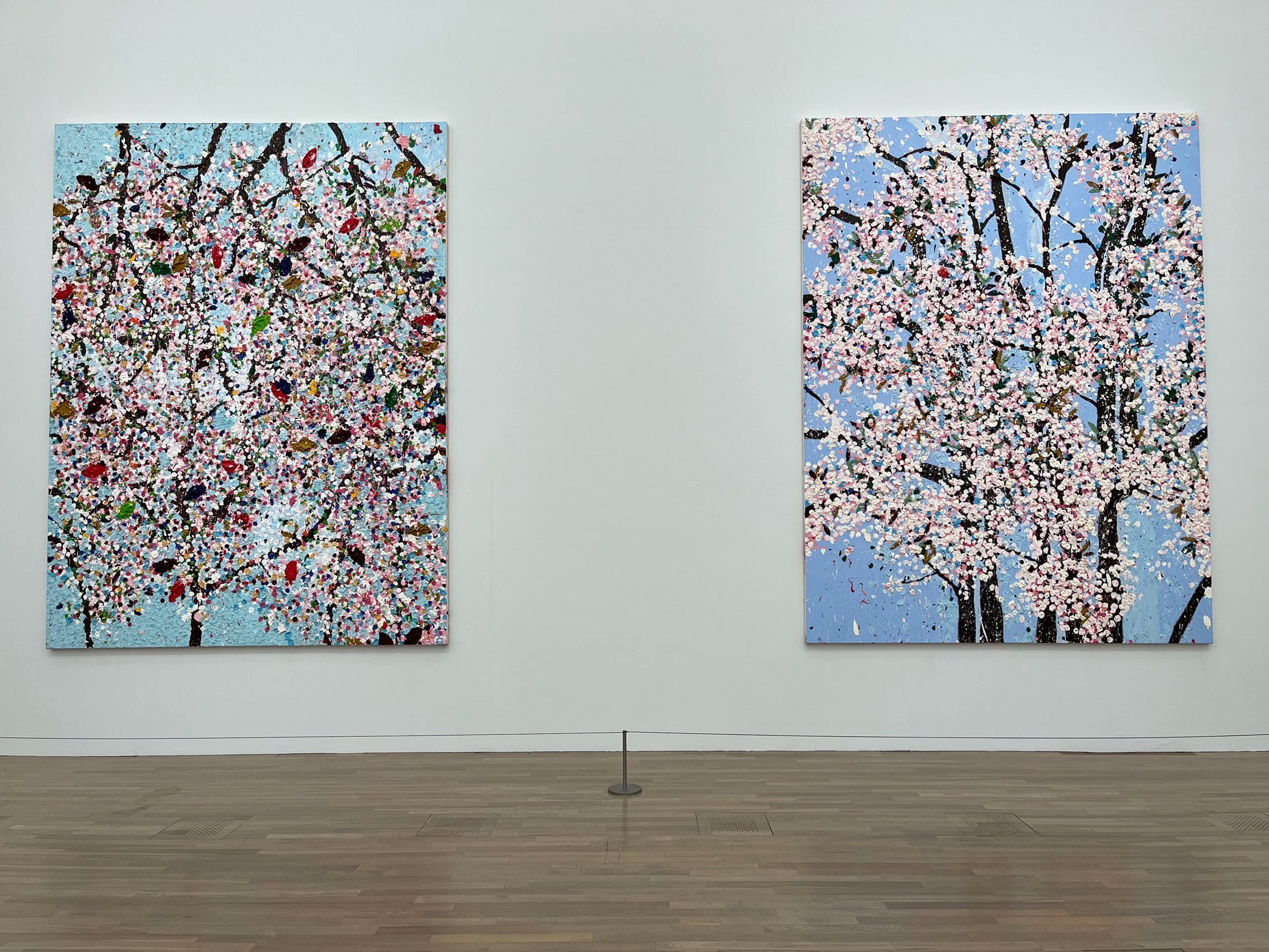 桜！ さくら！ サクラ！｜Hiroshi Kawajiri