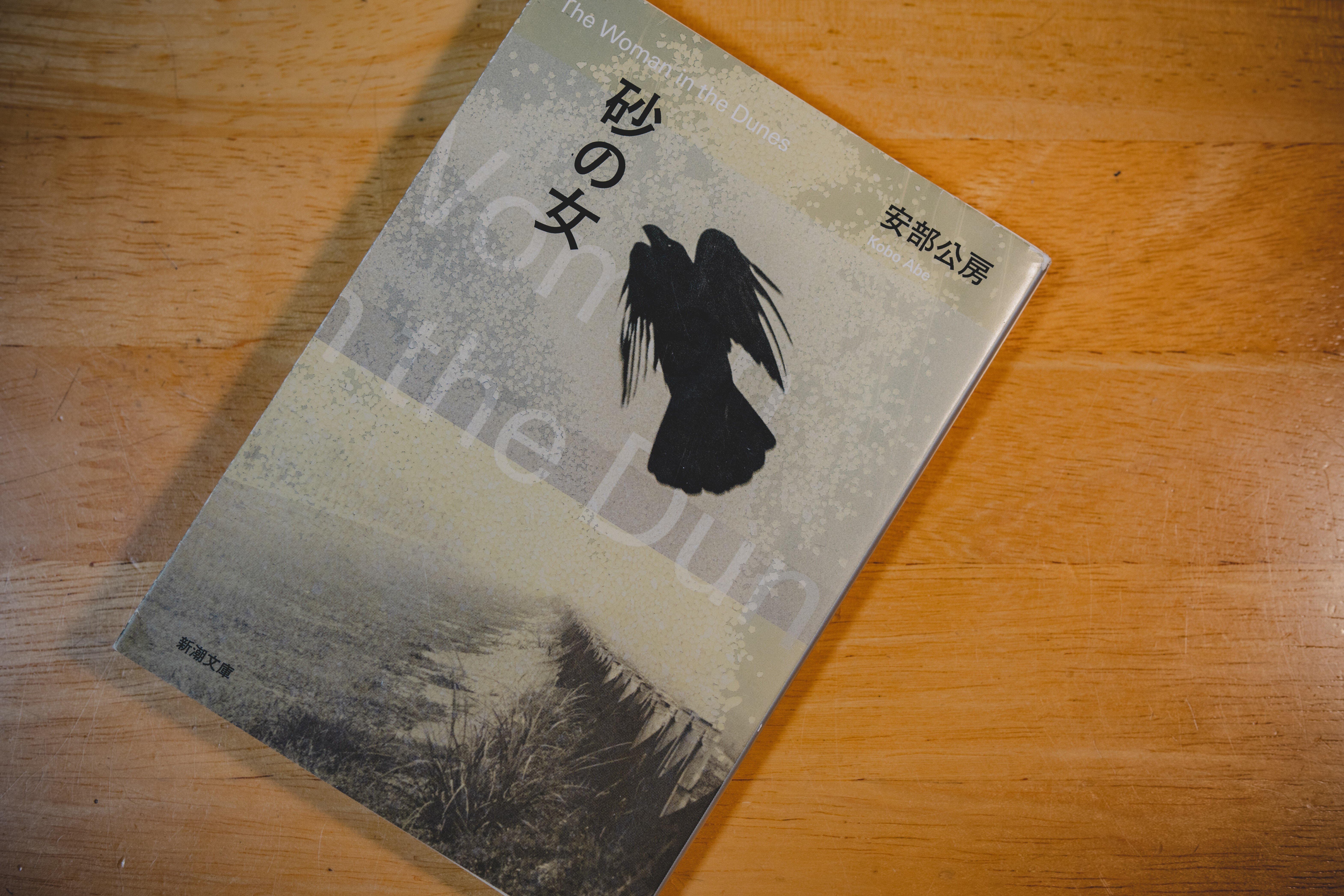 読書：『砂の女』安部公房｜おかたろ