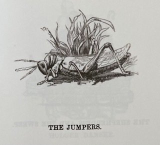 THE JUMPERS
