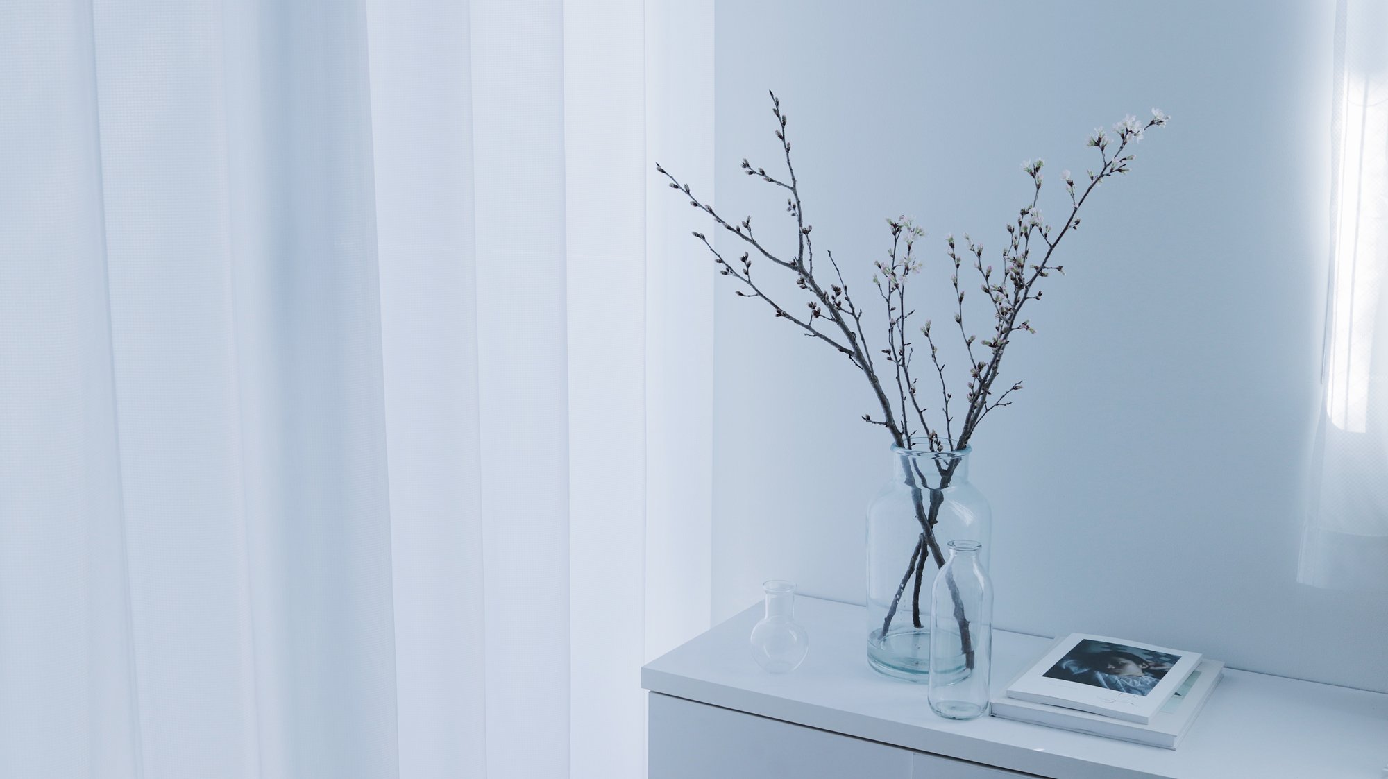 ずっと空っぽだった花瓶を桜で満たした理由 透明愛好家 Tomei Note ずっと空っぽだった花瓶を桜で満たした理由 透明愛好家 Tomei Note