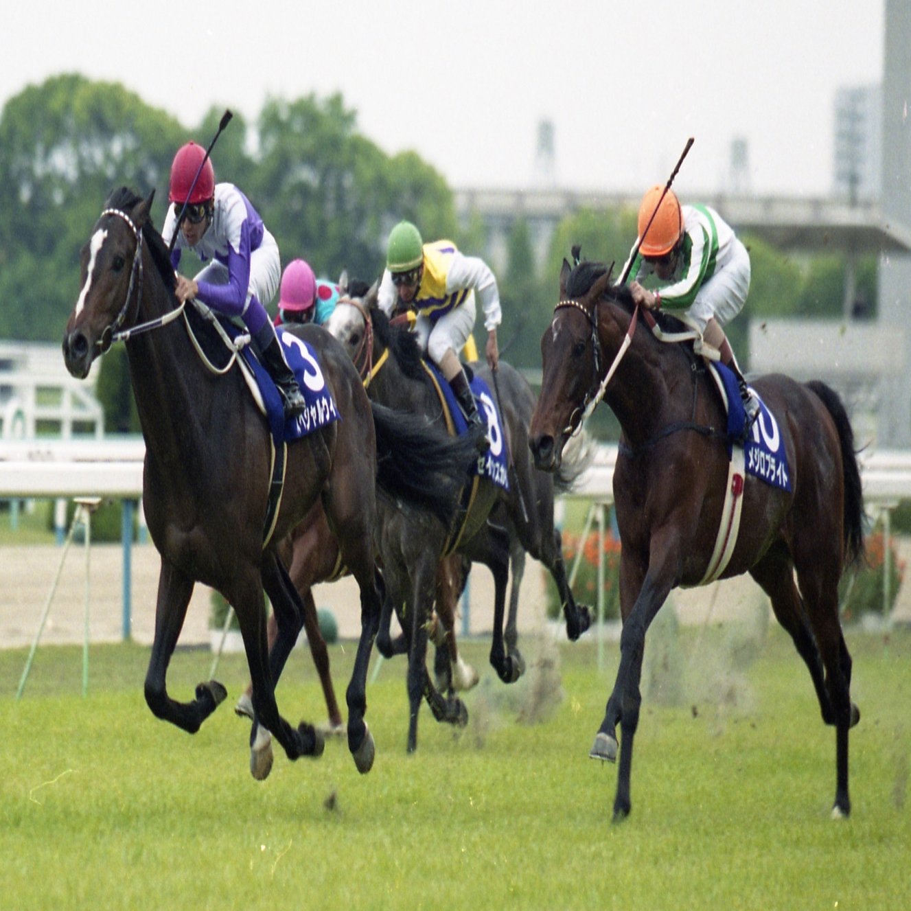 ウマ娘 のトリックスター セイウンスカイの幻惑逃亡劇を 東スポ で振り返る 東スポnote