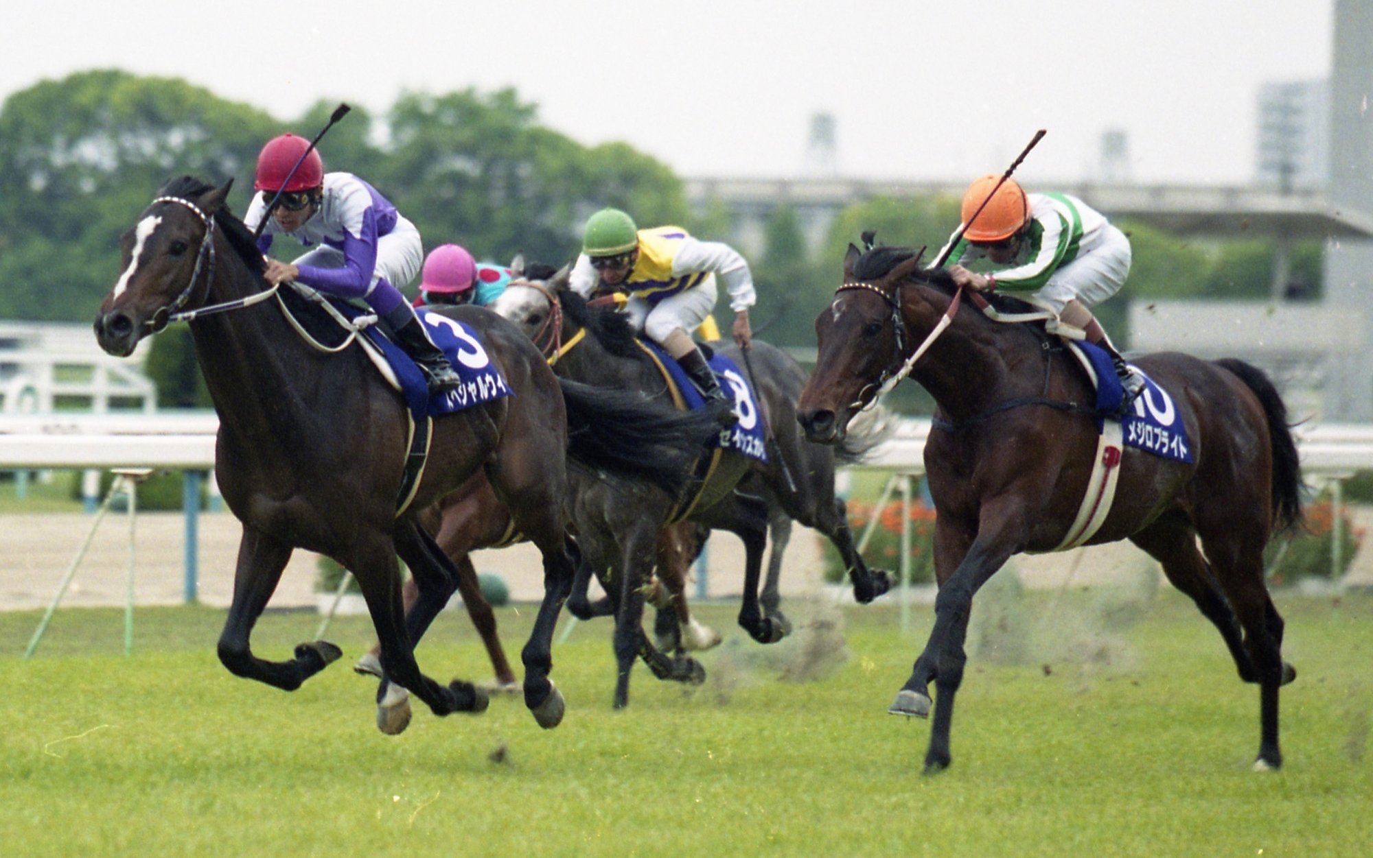 ウマ娘 のトリックスター セイウンスカイの幻惑逃亡劇を 東スポ で振り返る 東スポnote ウマ娘 のトリックスター セイウンスカイの幻惑逃亡劇を 東スポ で振り返る 東スポnote