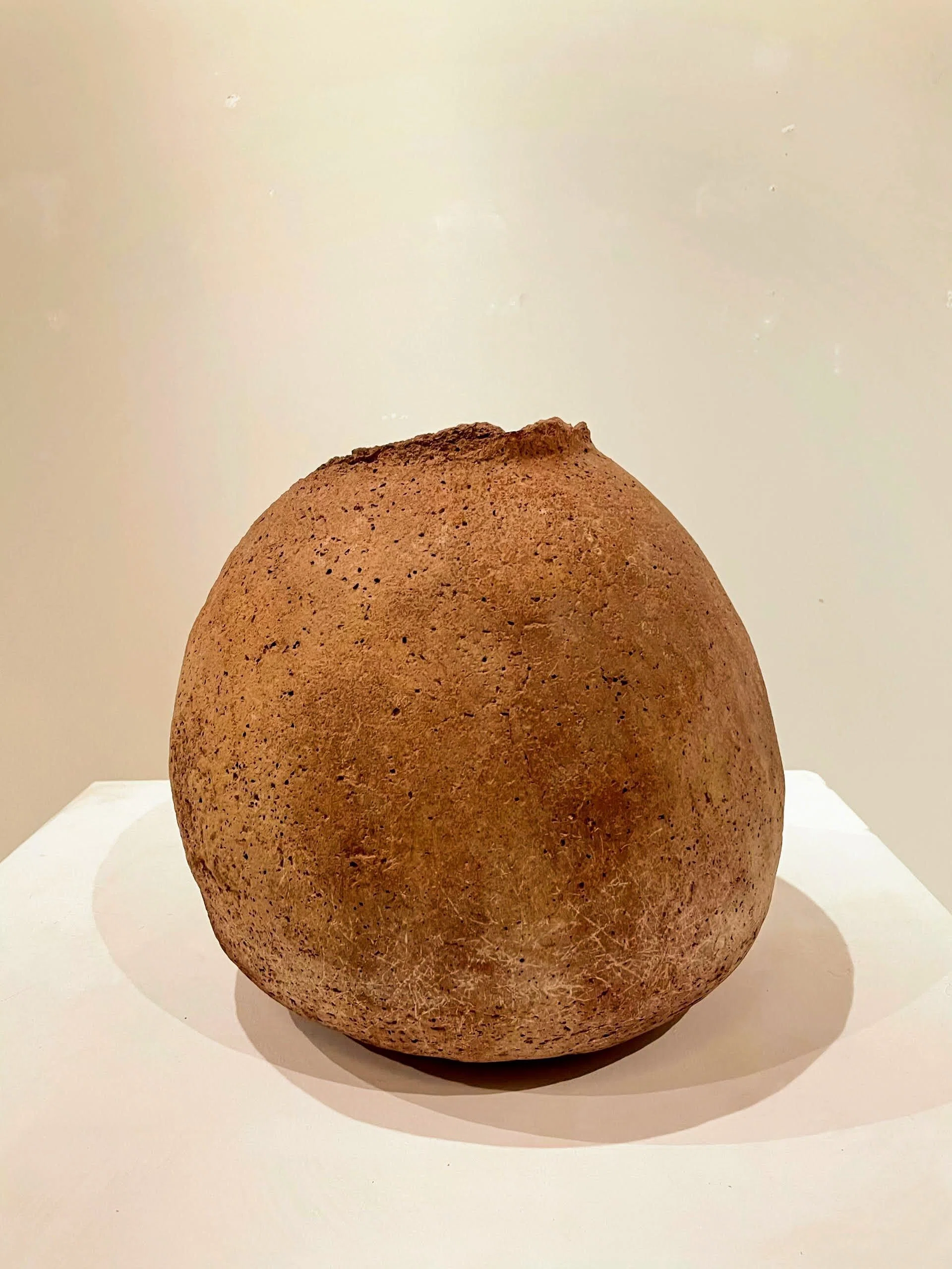 パナリ焼展：1 ／箱根菜の花展示室｜美術館とお寺と猫