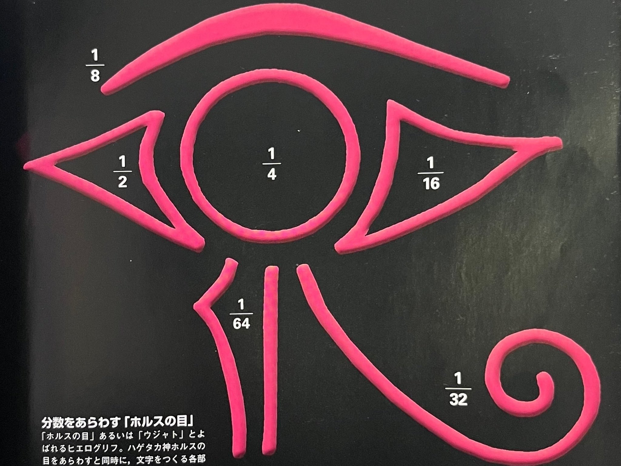 MT数学史#3 古代エジプトの文字とパピルス｜MT 数学・maths channel