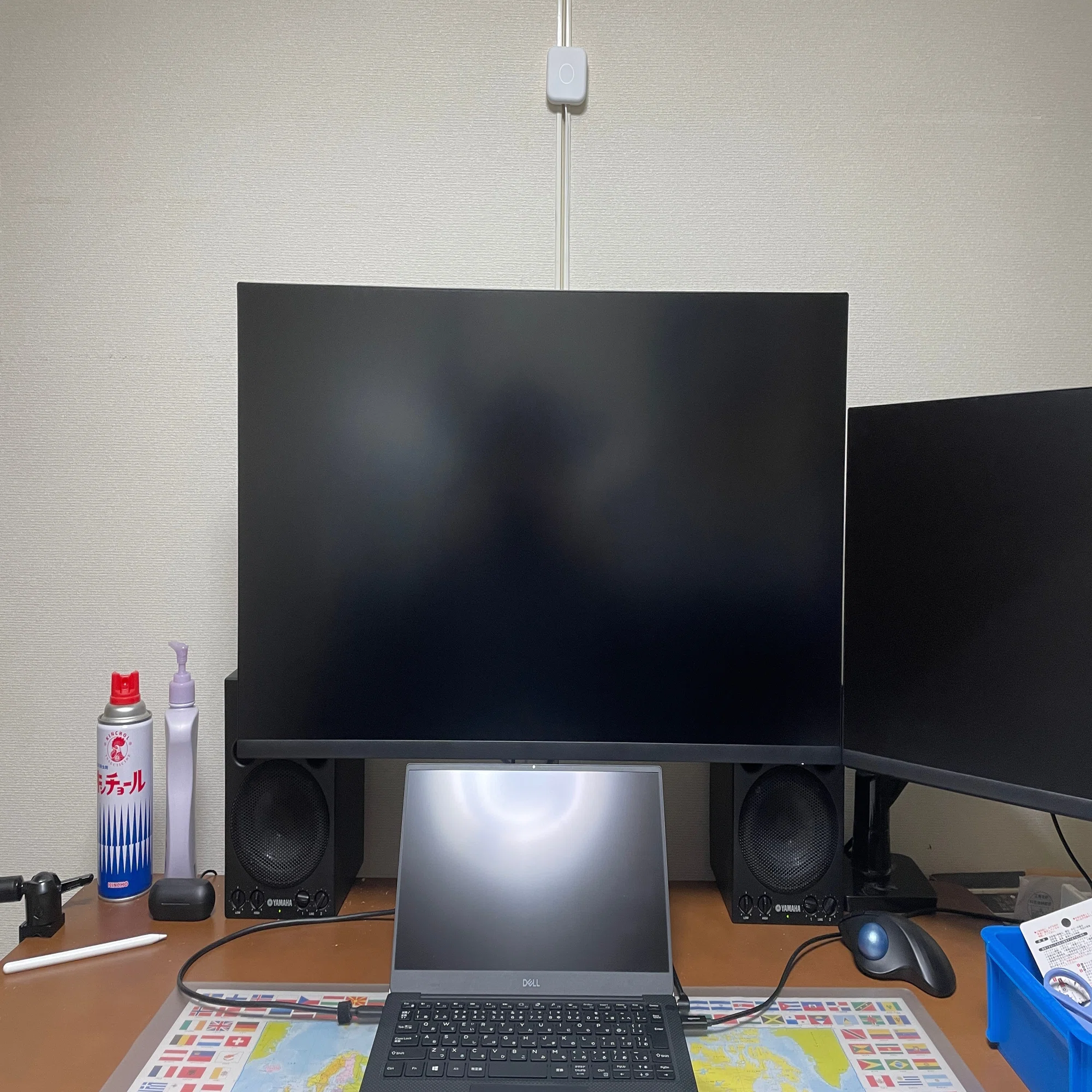 モニター選びの最適解 32インチ 4K の Dell P3222QE｜fjktkm