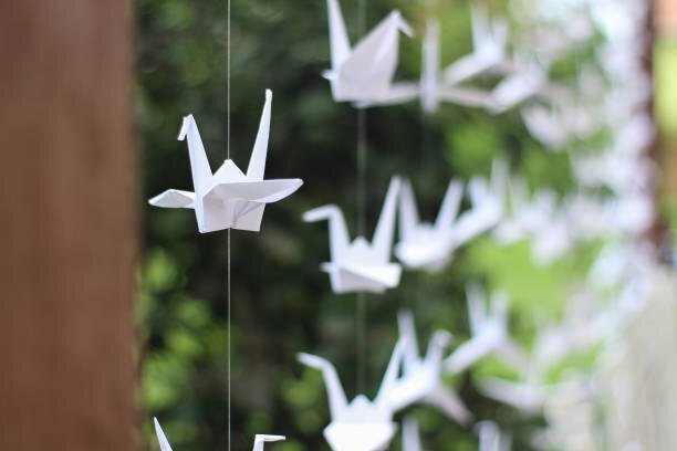 観葉植物 オリヅルランの花が咲いた Kan Note