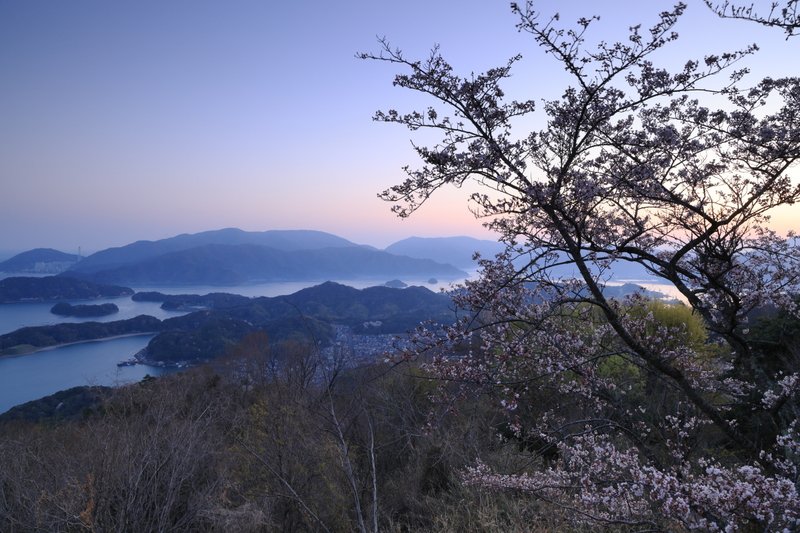 夜明け空に桜のシルエット。雲ひとつない空のグラデーションが美しい朝でした。山頂の桜は未だ満開になっていませんでした。