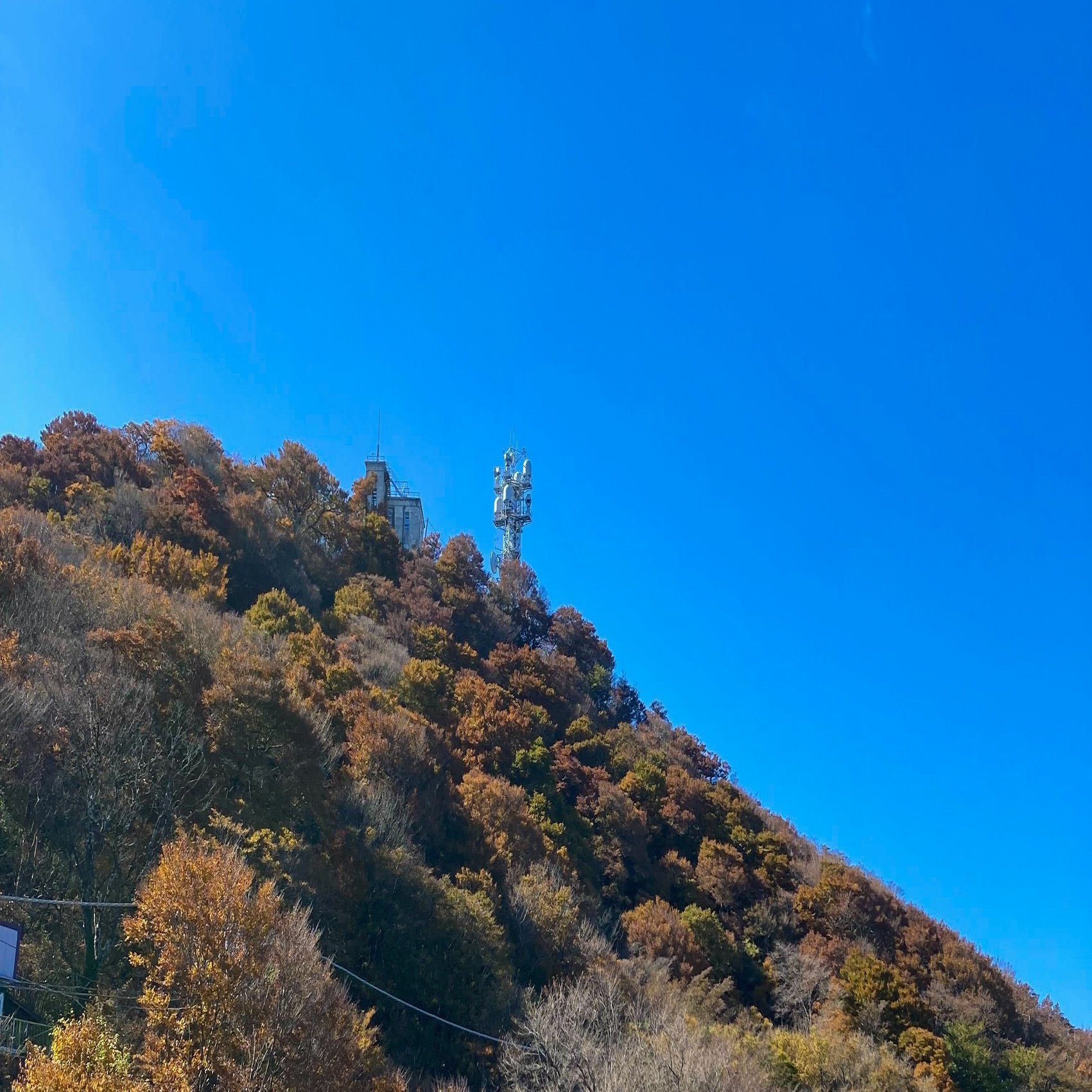 細部にこだわり いいものをつくる 筑波山登山アプリを手掛けたデザイナーが向き合う フラーでデザインするということ フラーのデジタルノート