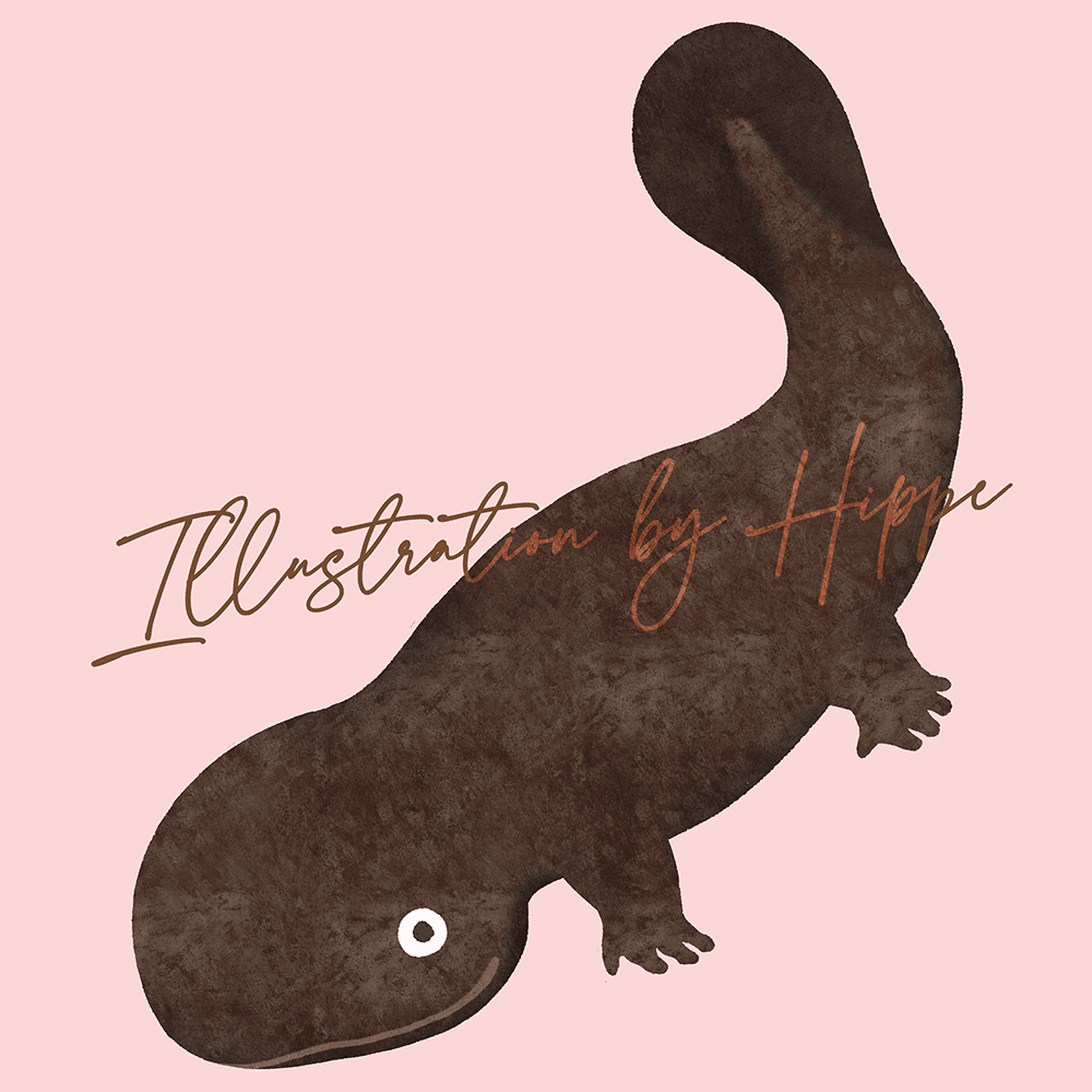 ストックフォト1日1投稿 週5日 ひっぺ Note ストックフォト1日1投稿 週5日 ひっぺ Note