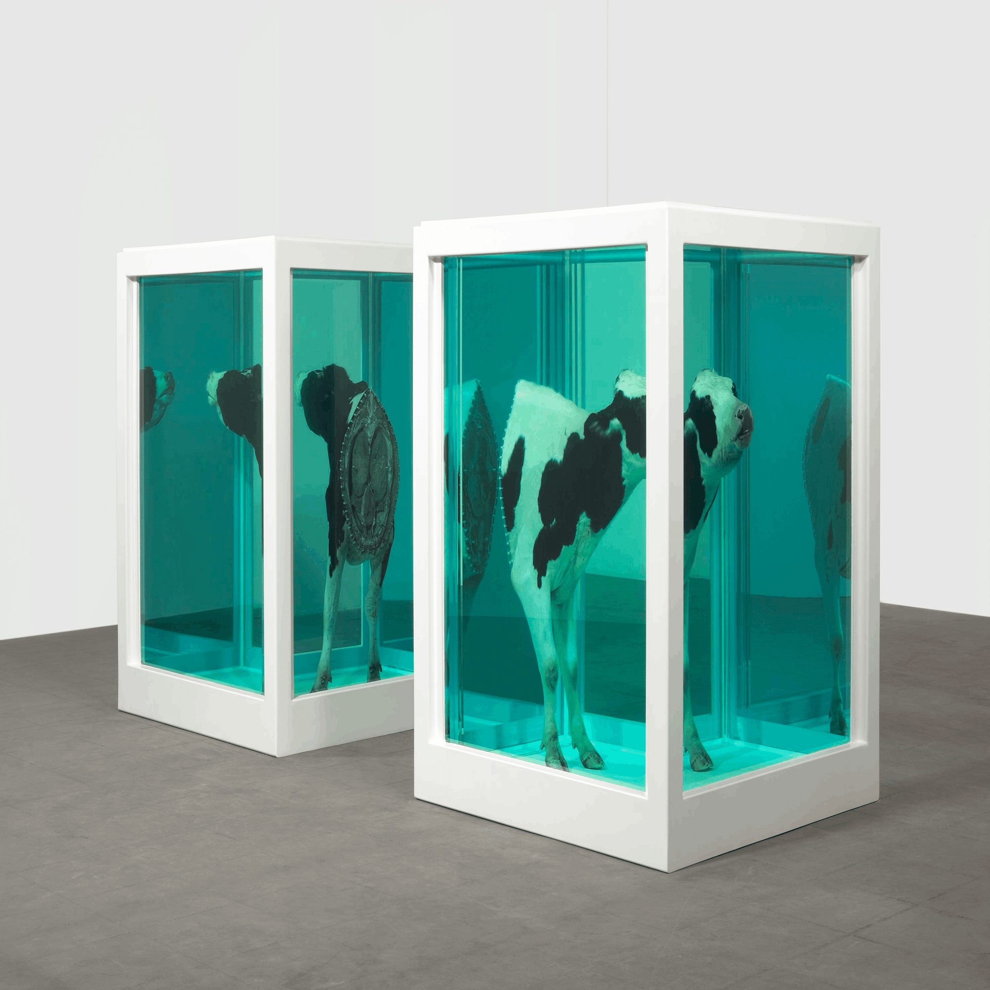 ダミアン・ハーストとフォトグラファー｜コンパスマガジン@アート