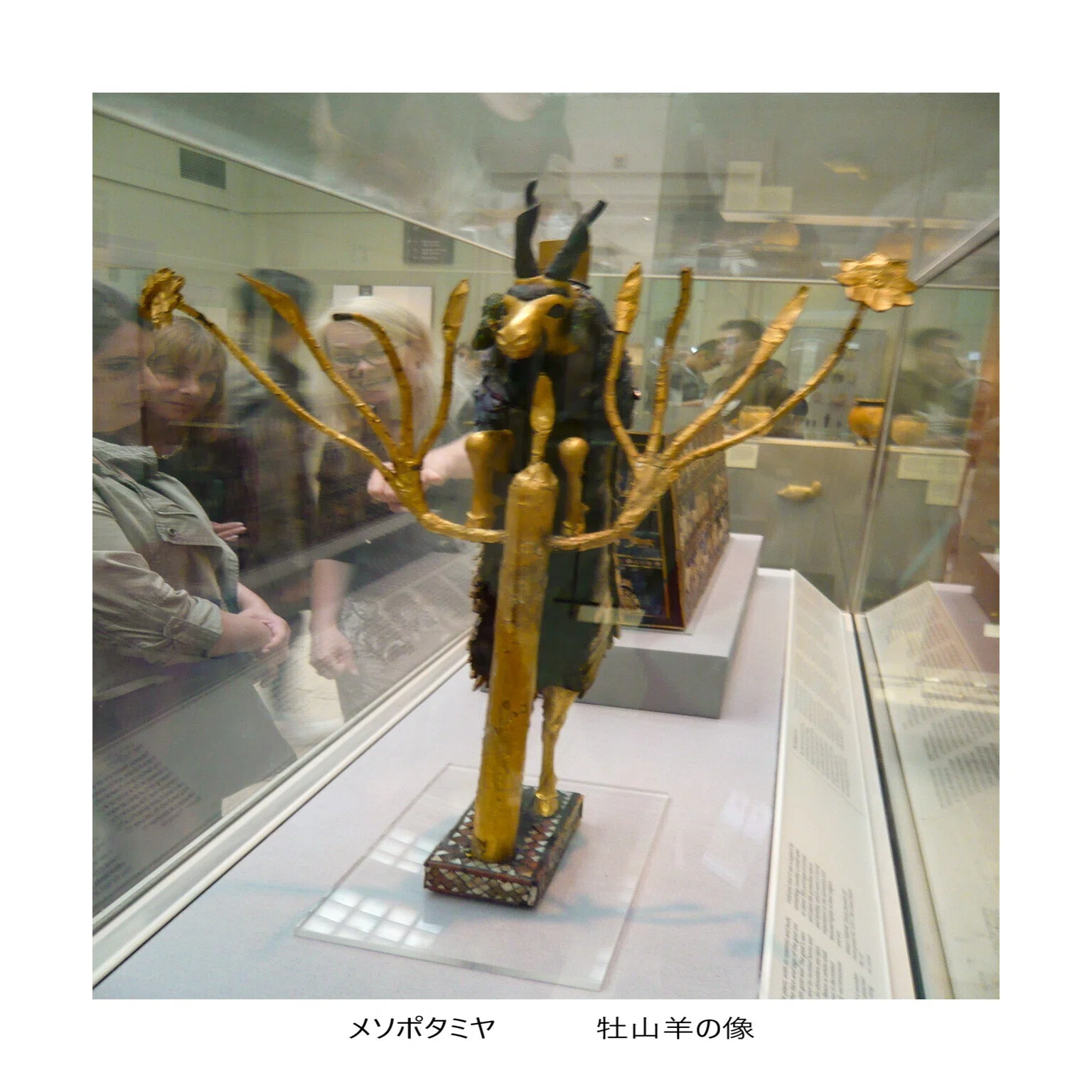 Y-05 大英博物館 その1（英語ではシンプルにBritish Museum 