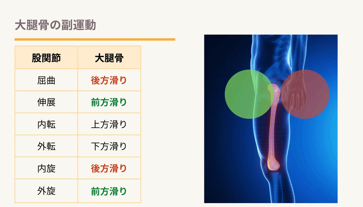 股関節の深屈曲時の前方の詰まり感〜3つの原因と解決策〜|Nピラティス!吉田直紀