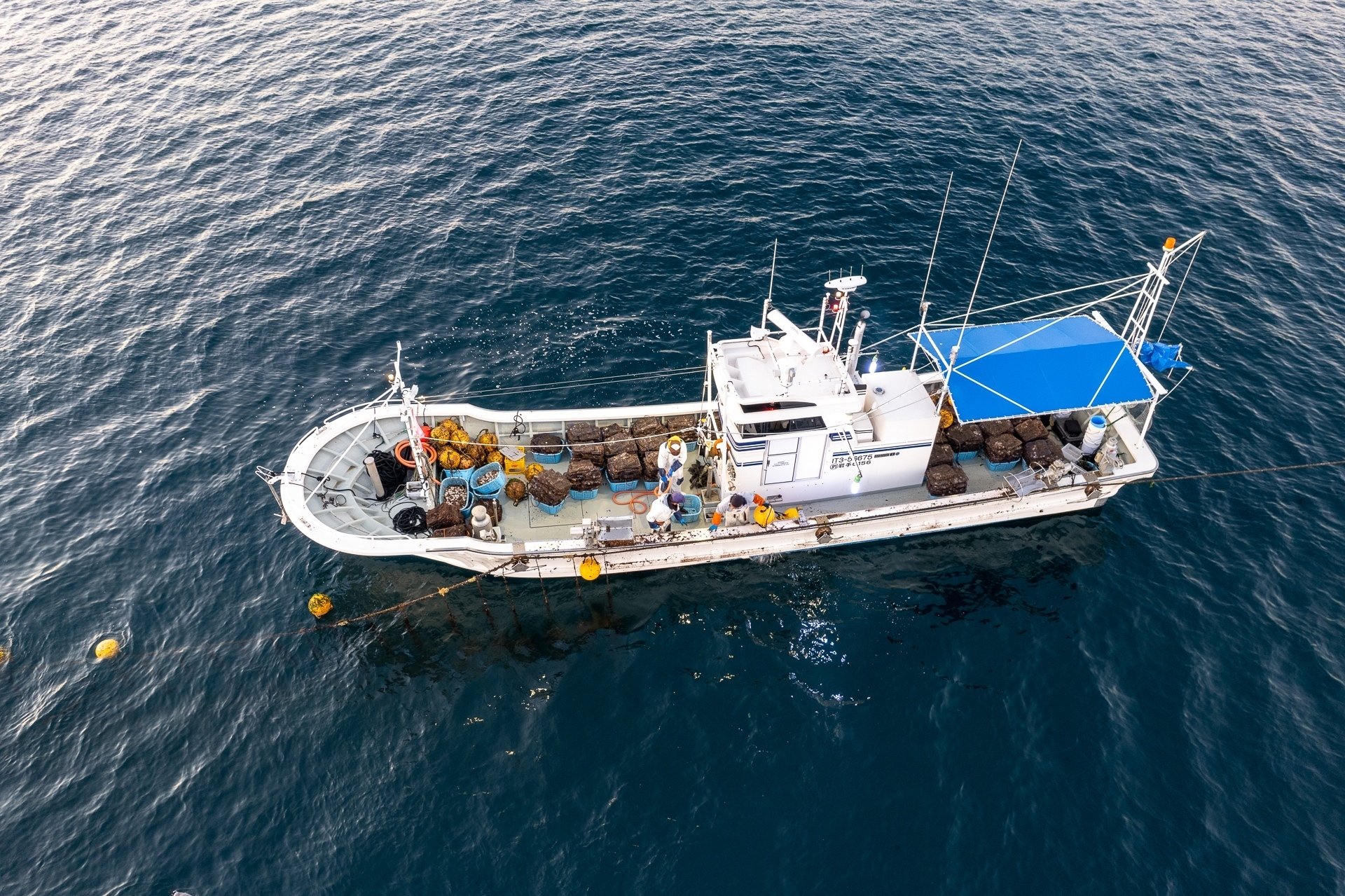 漁師にとって海とは何か、船とは何なのか。 【ニッポンの魚獲り】｜ヤマハ発動機 | 海の時間です。