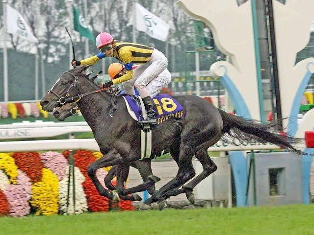 ウマ娘で学ぶ競馬史 #25.5 影の英雄たち (2006)｜マツウラ
