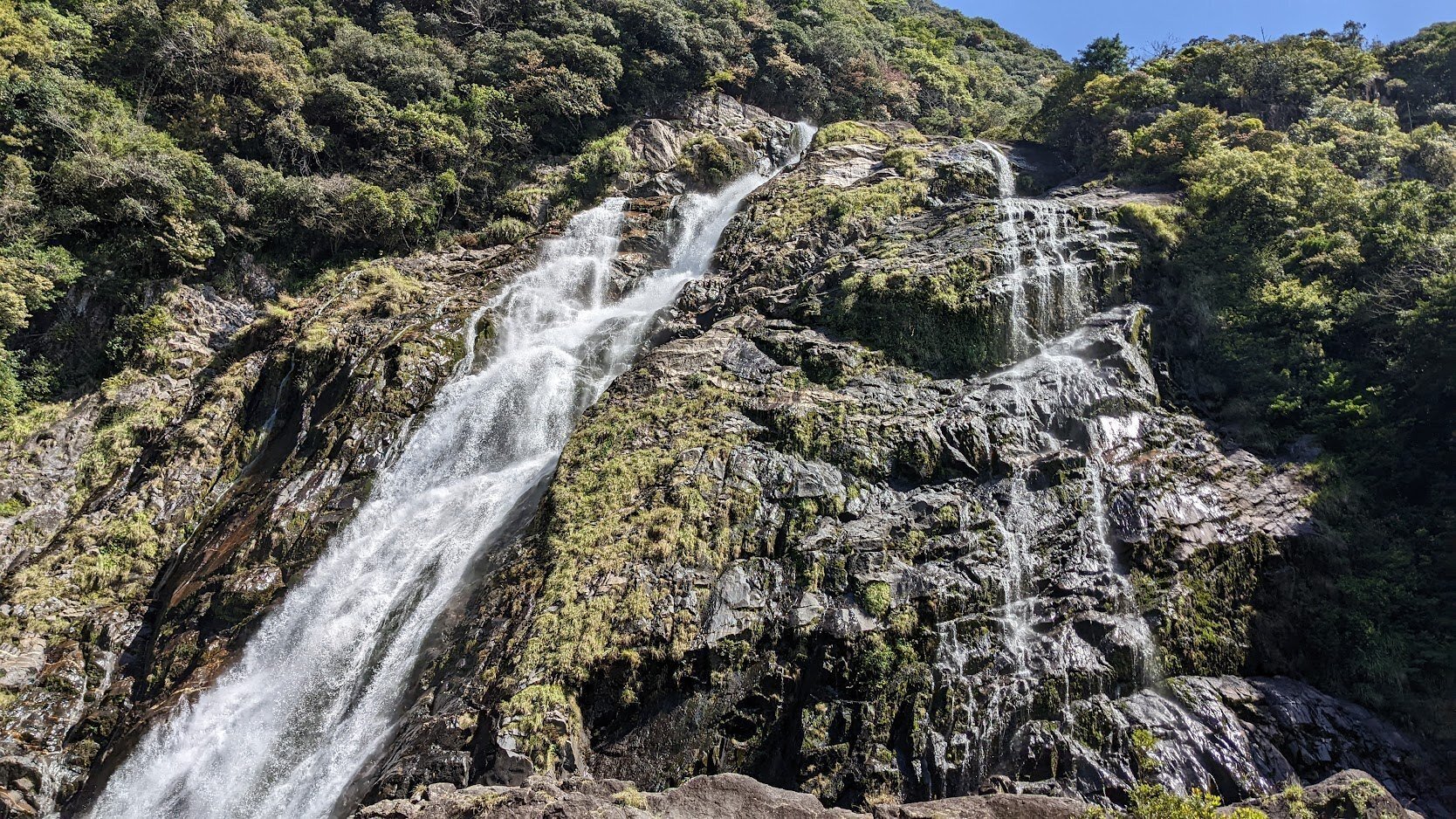 屋久島の旅 [5/5] （山で☆深読み）｜Pochipico