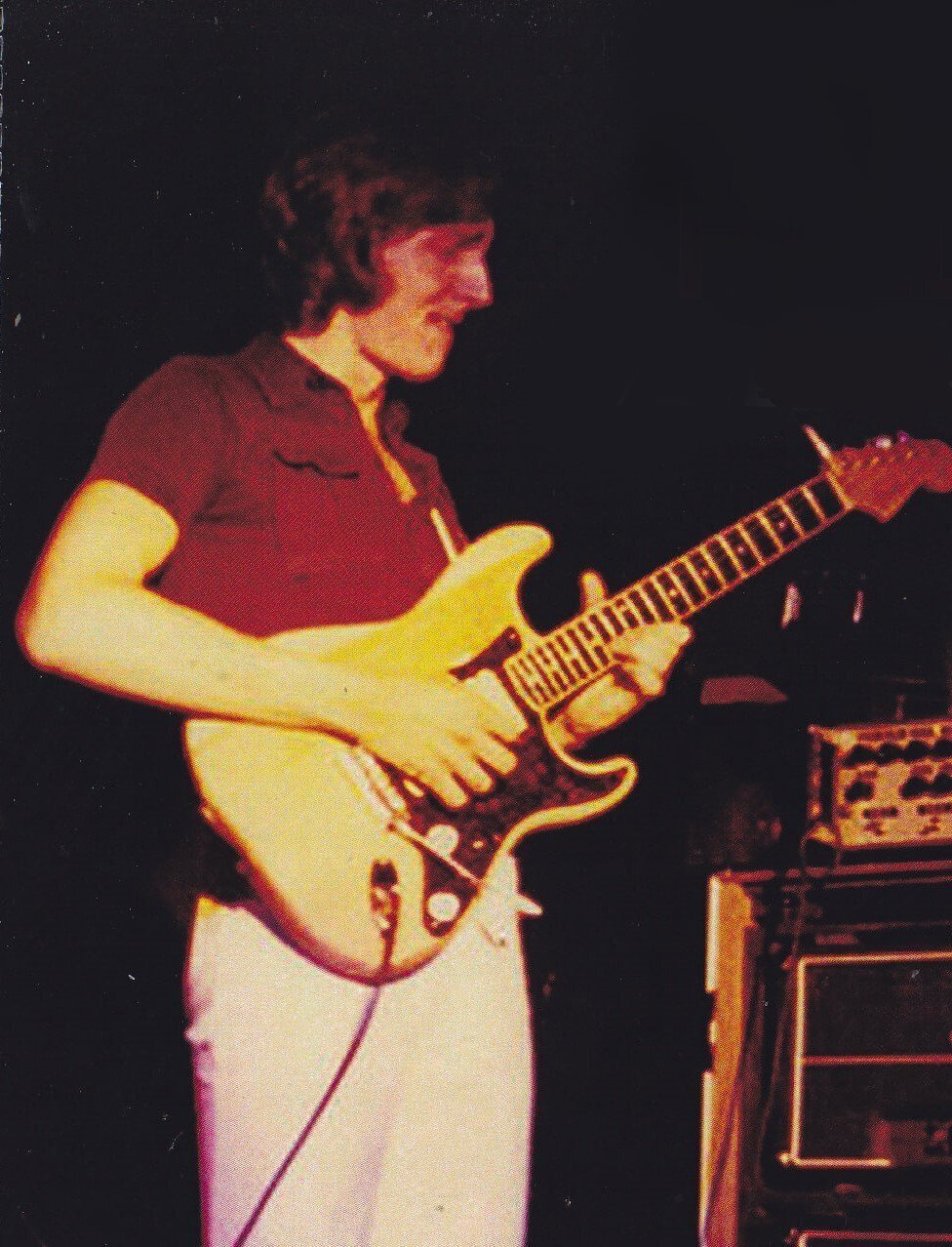 リプレイスメントパーツを用いたFender Player LEAD3のAllan