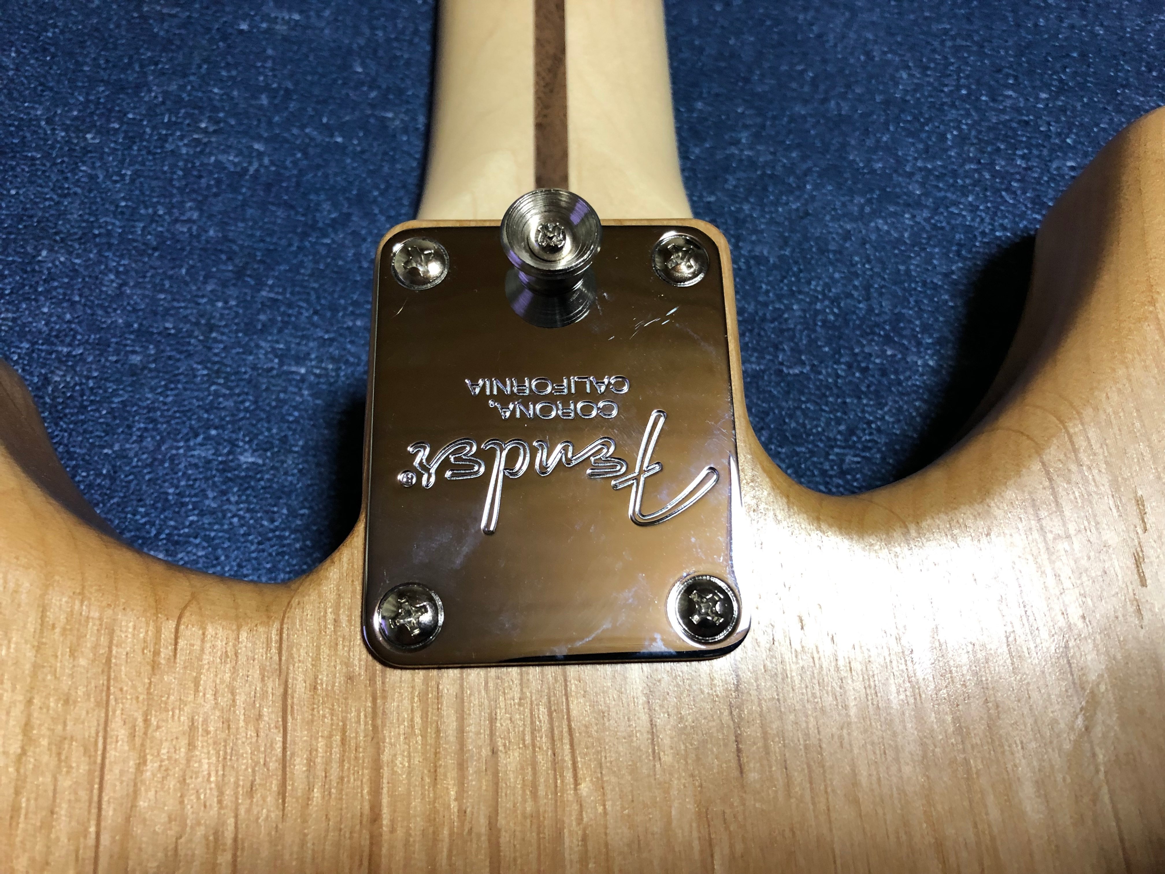 フェルナンデス　アラン・ホールズワース　モデル フェルナンデス アラン・ホールズワース モデル