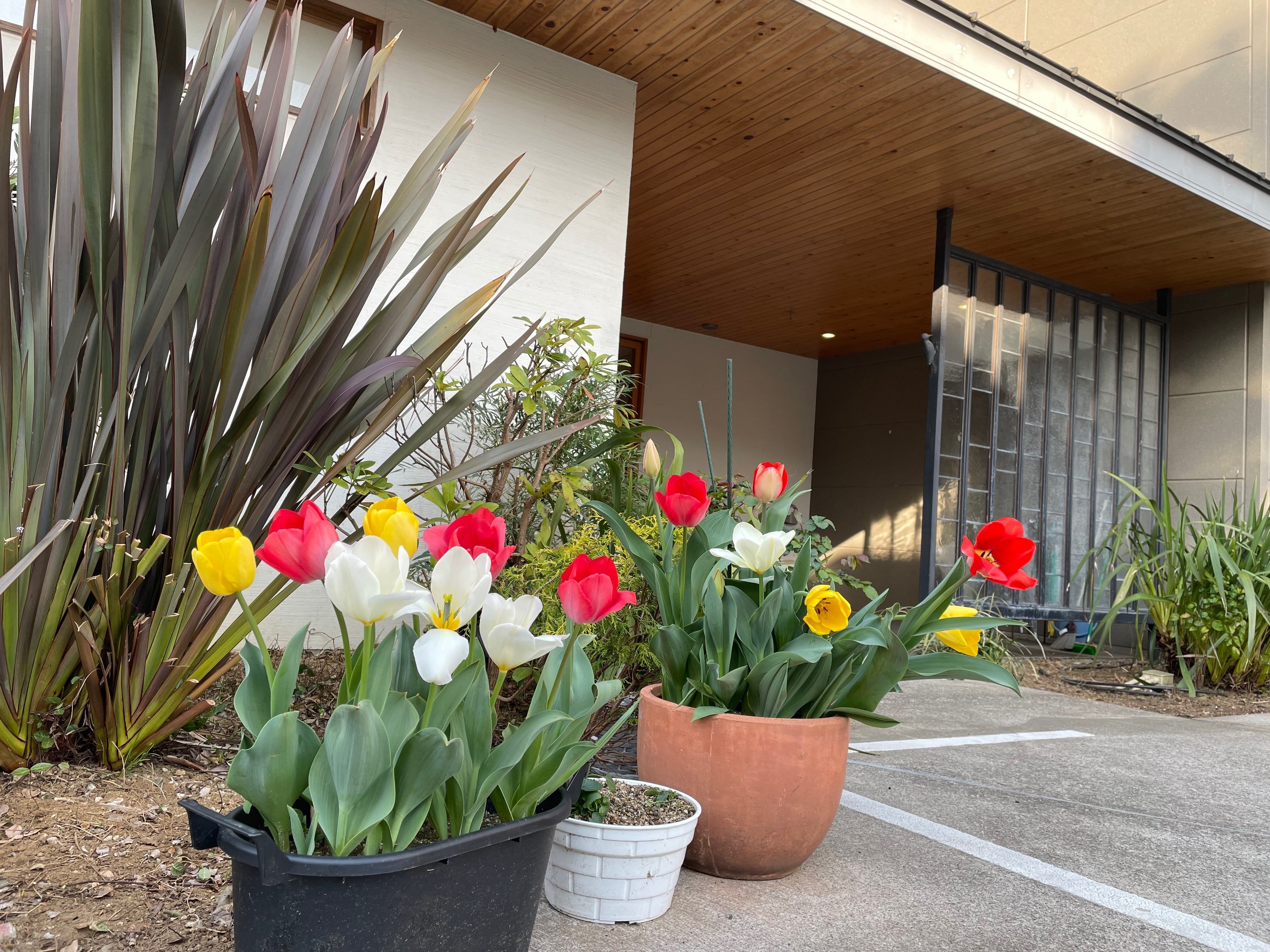 ４月のお誕生日会 銀木犀 薬園台 Note