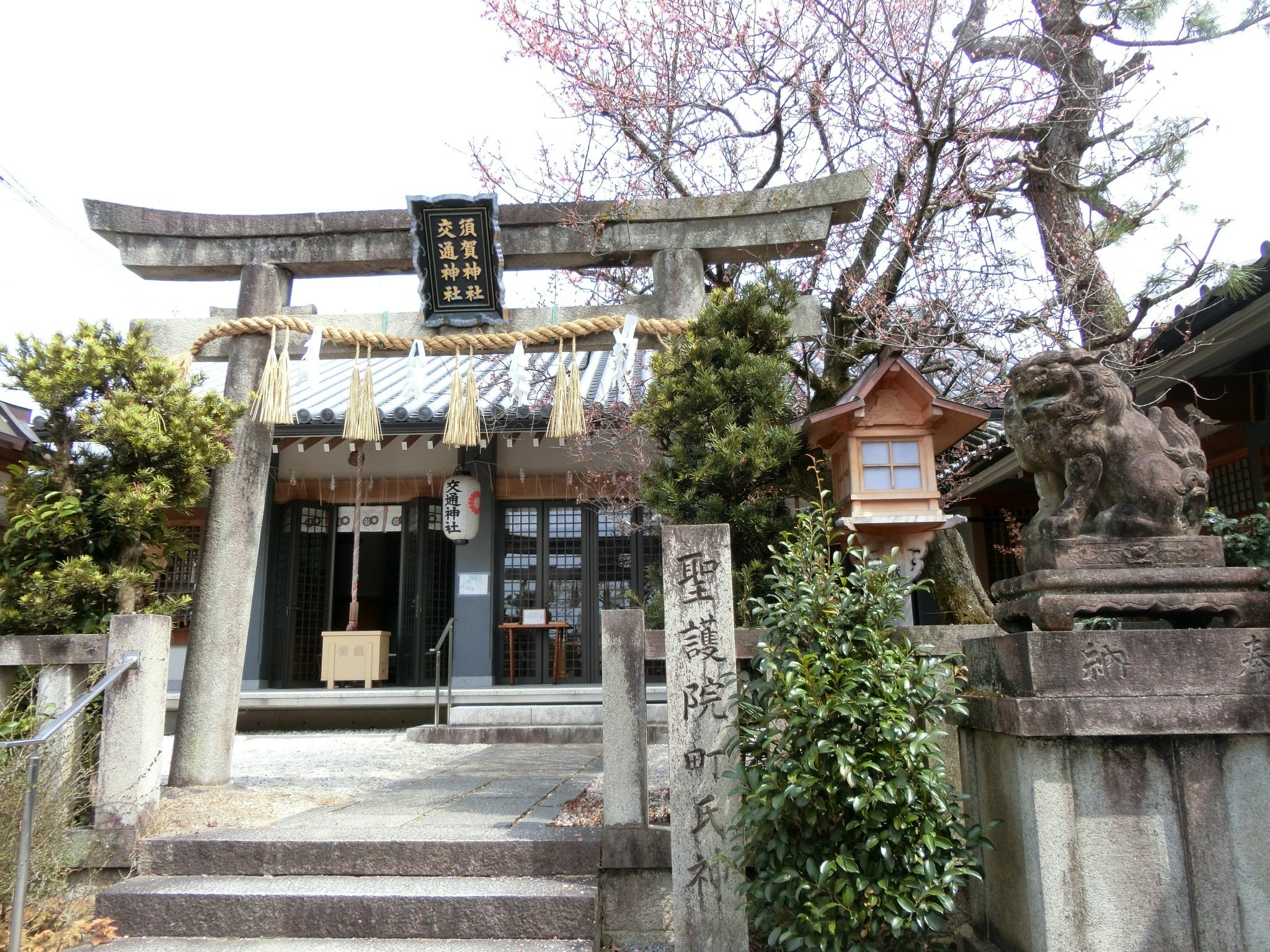 年1の須賀多餅「須賀神社」奇祭・節分祭!聖護院横と黒谷さん間【京都