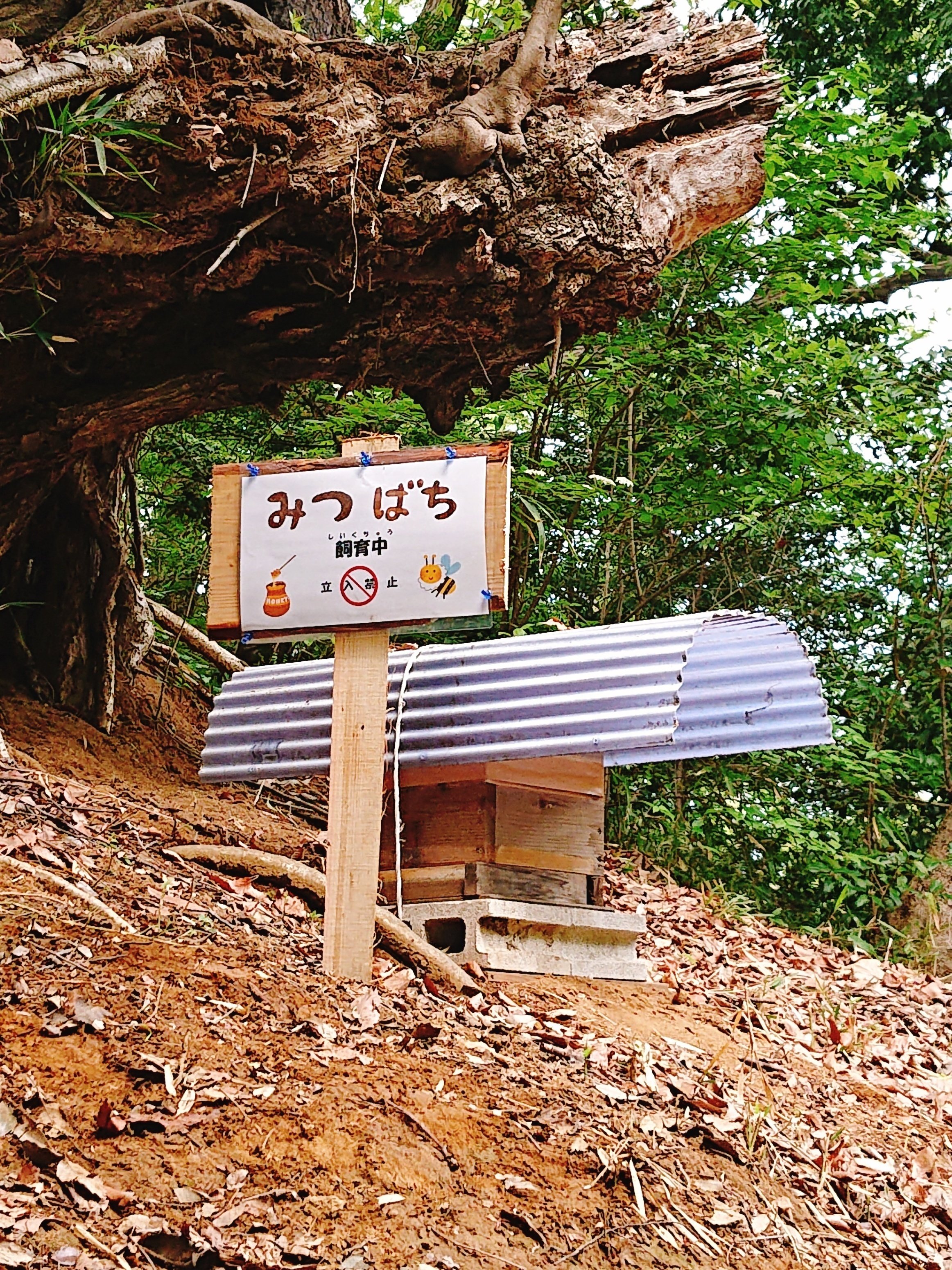みつばち看板を設置しました｜川崎市黒川青少年野外活動センター