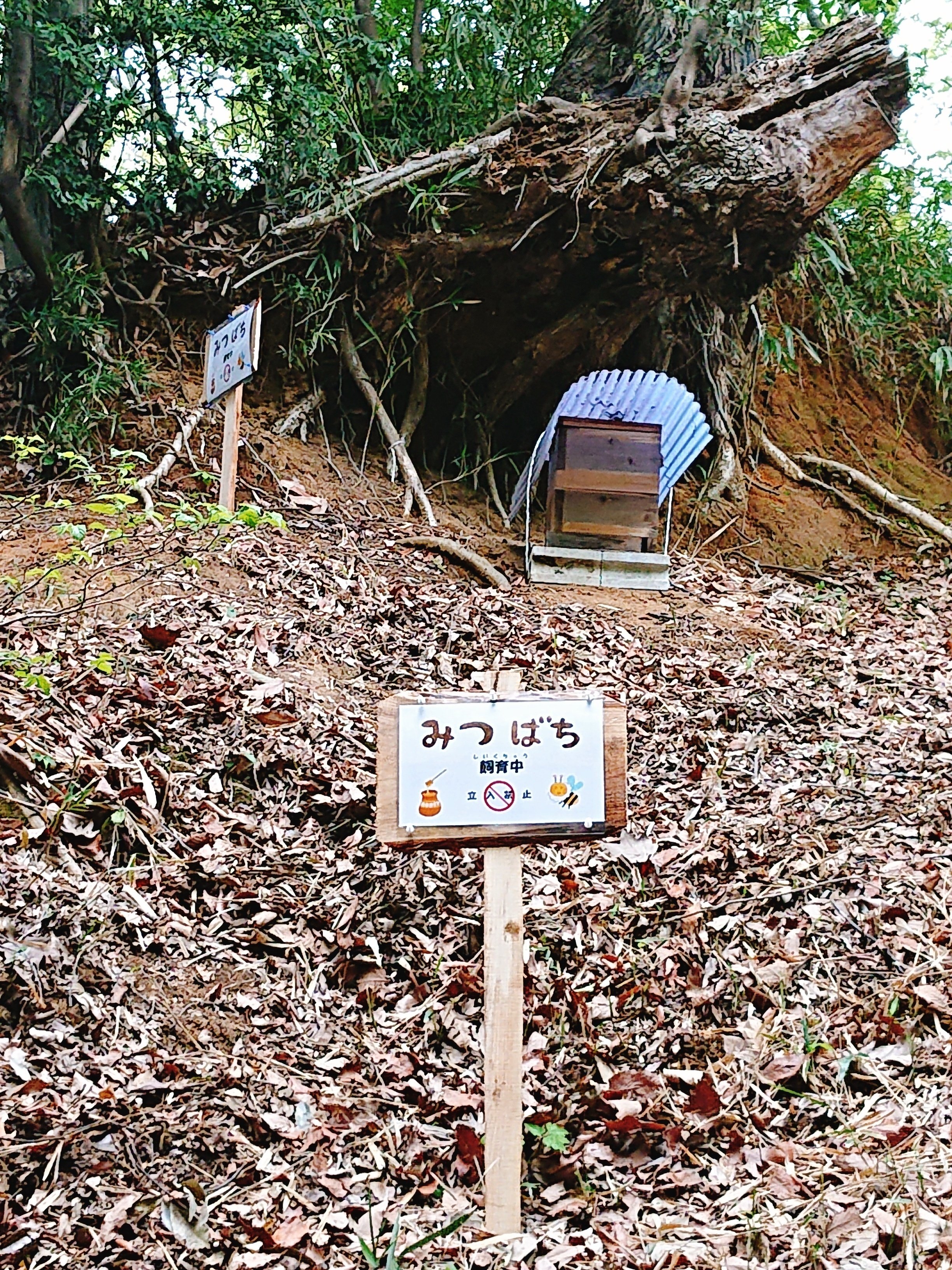 みつばち看板を設置しました｜川崎市黒川青少年野外活動センター