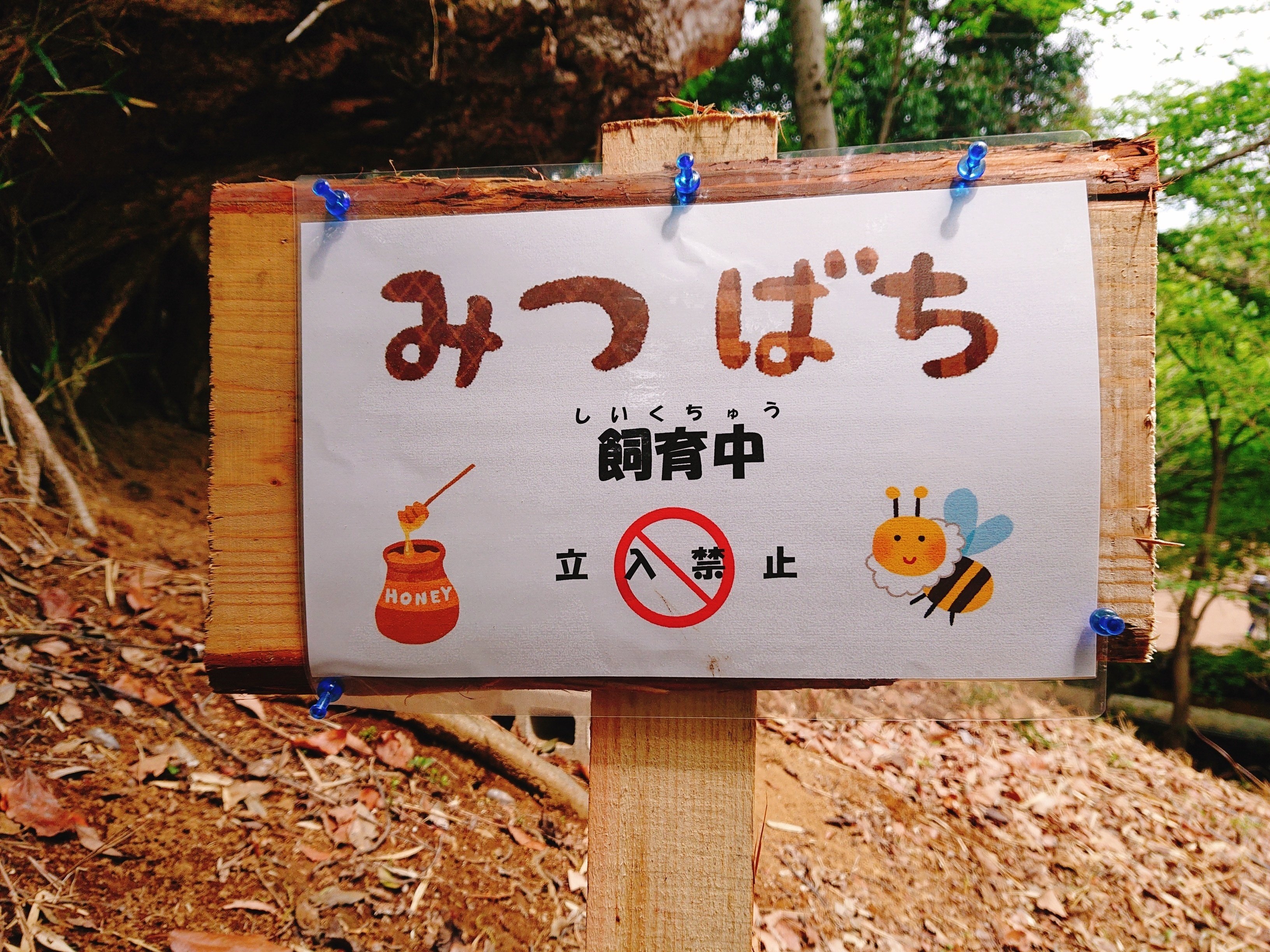 みつばちページ みつばち看板を設置しました｜川崎市黒川青少年野外活動センター