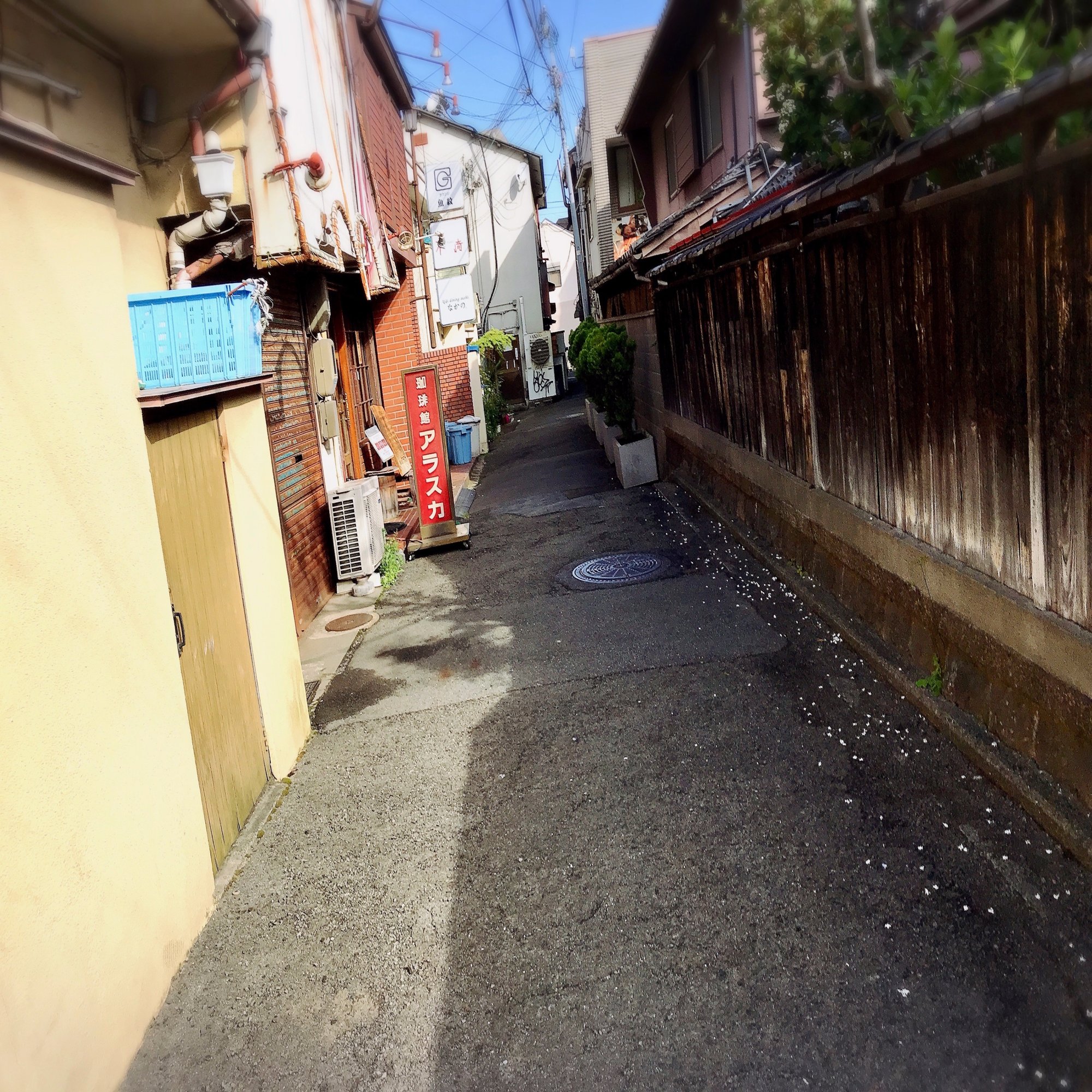 モーニング 岸和田 珈琲館アラスカ かぼちゃかべ Note