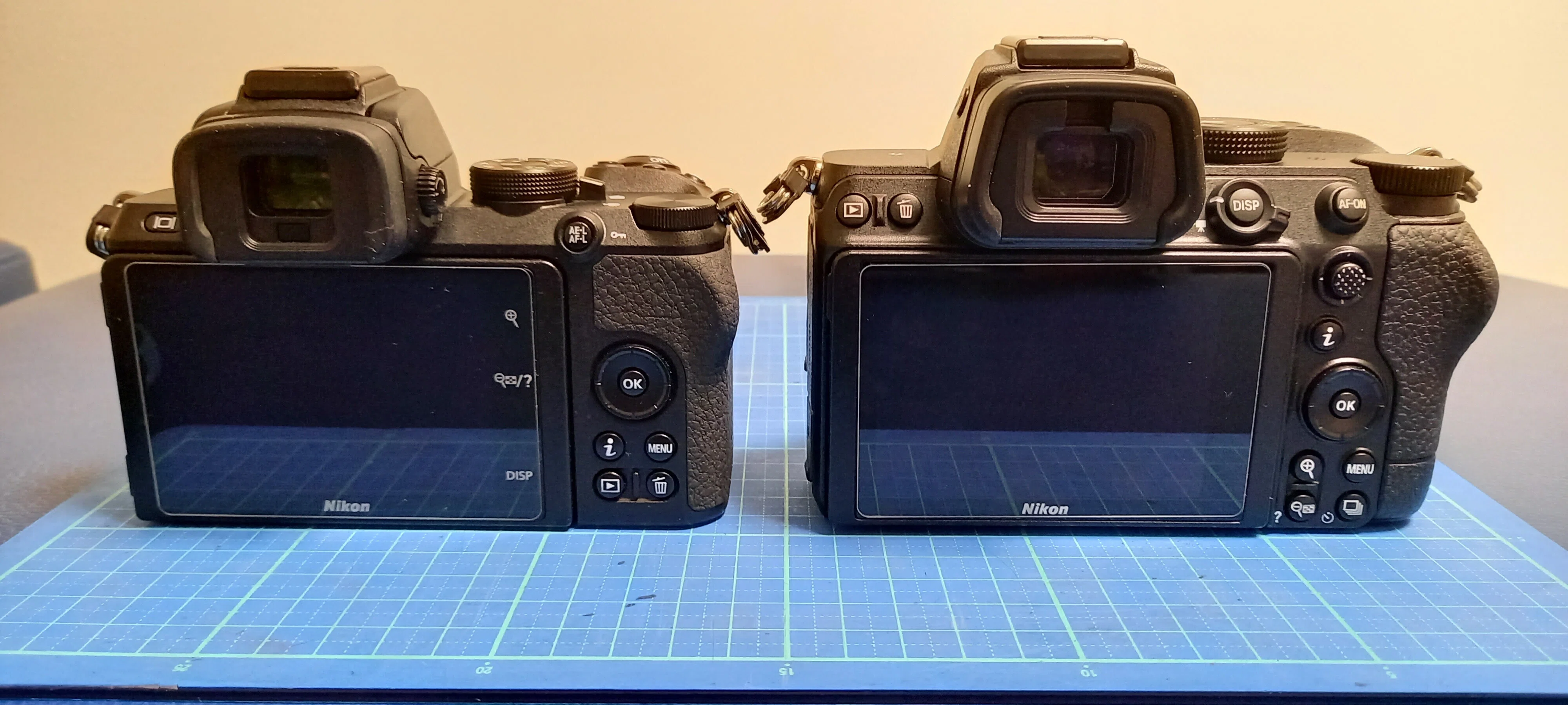 Nikon Z50 と Z5」を両方買って比較してみました｜何でも正直に言っ