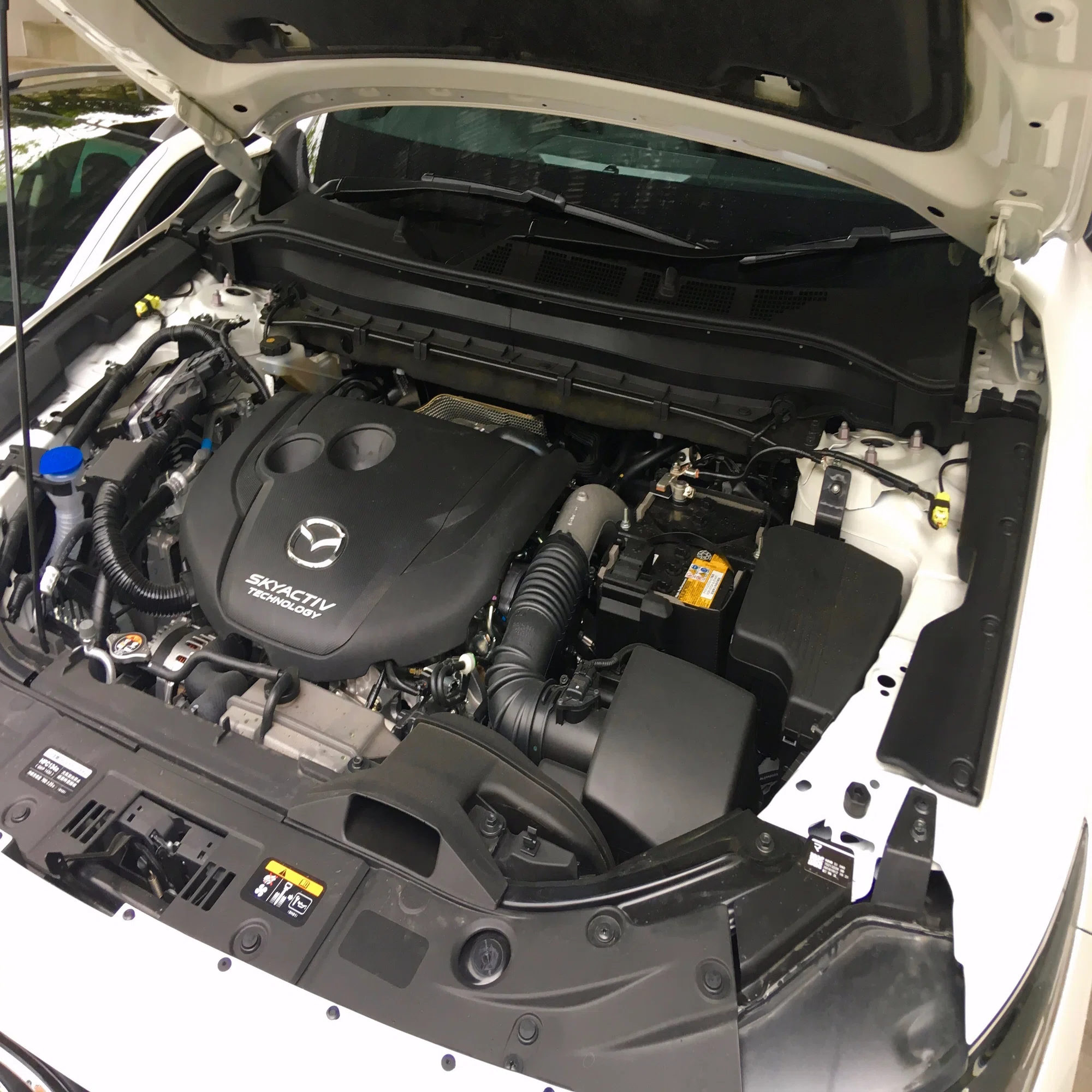 マツダ CX-8 SKYACTIV-D ｜ソージロウ