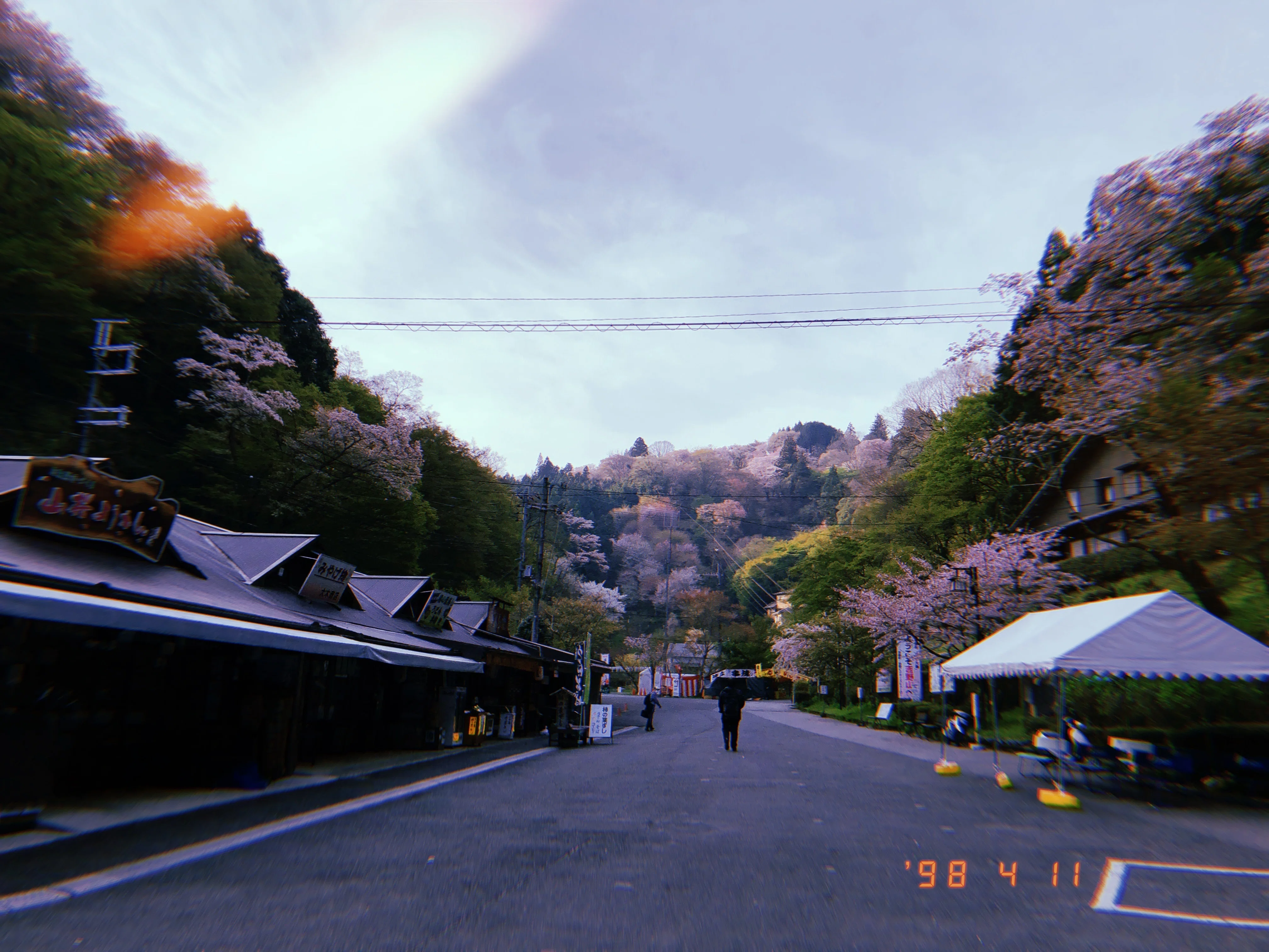 日本一の桜を見てきた。(吉野山)｜ミニマム亀岡 ┃ 国内旅行記