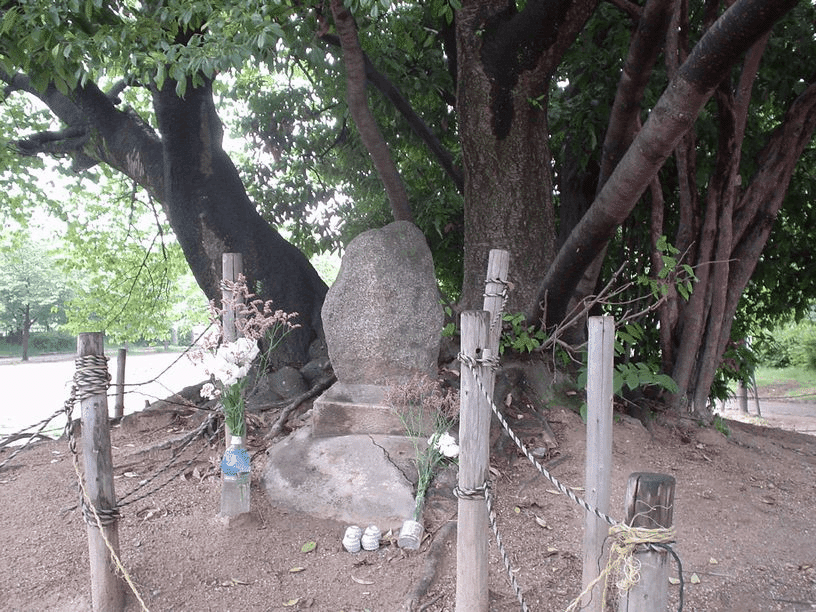 連載日本史㉞ 平城京（3）｜水埜正彦