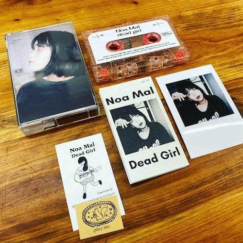 新品未使用Noa Mal 10インチレコード フィリピンの宅録系SSW、Noa Mal新作のご予約を開始します。｜Rodentia