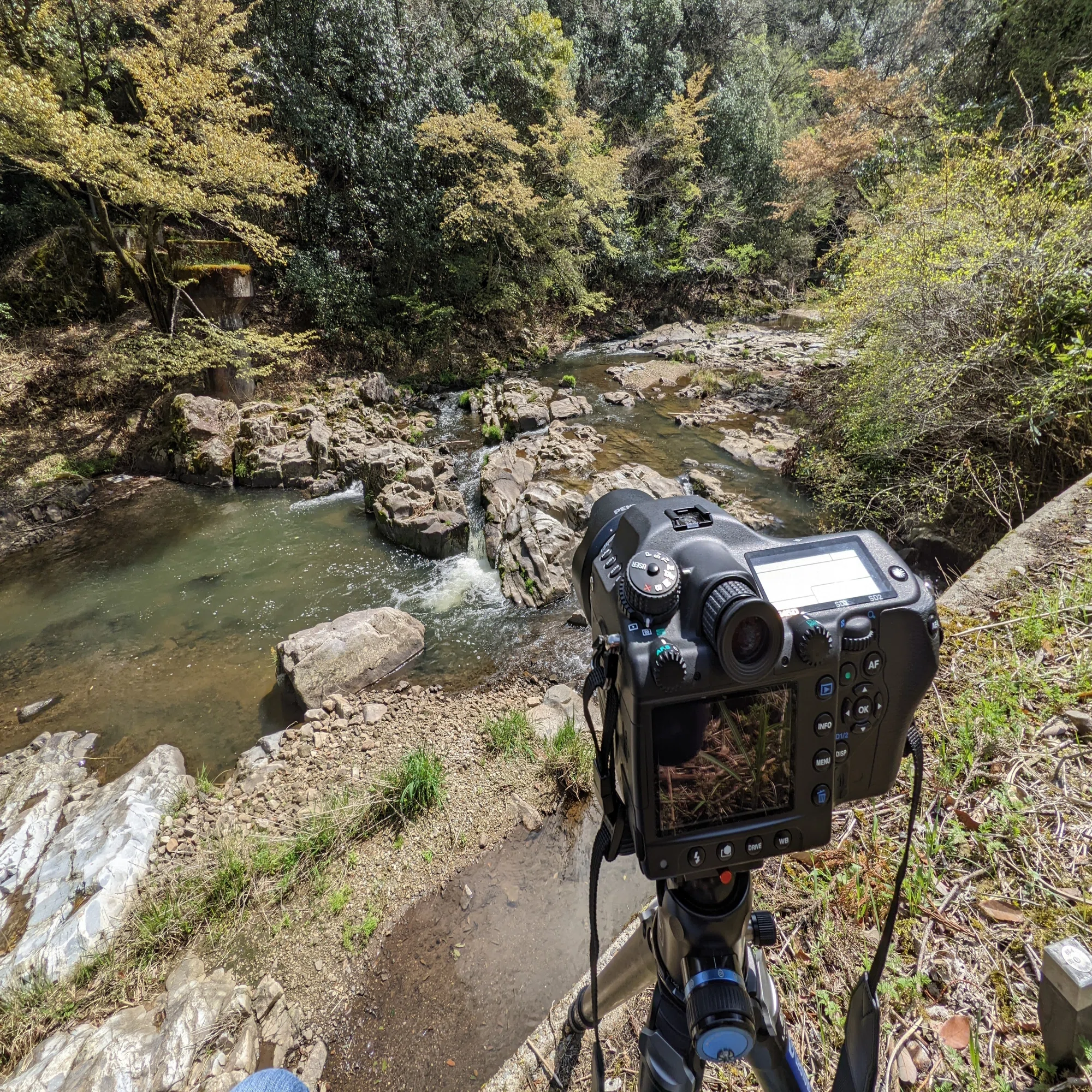 今さらPENTAX 645Dを買ったことに対する長い長い言い訳（1万文字）｜鉄人